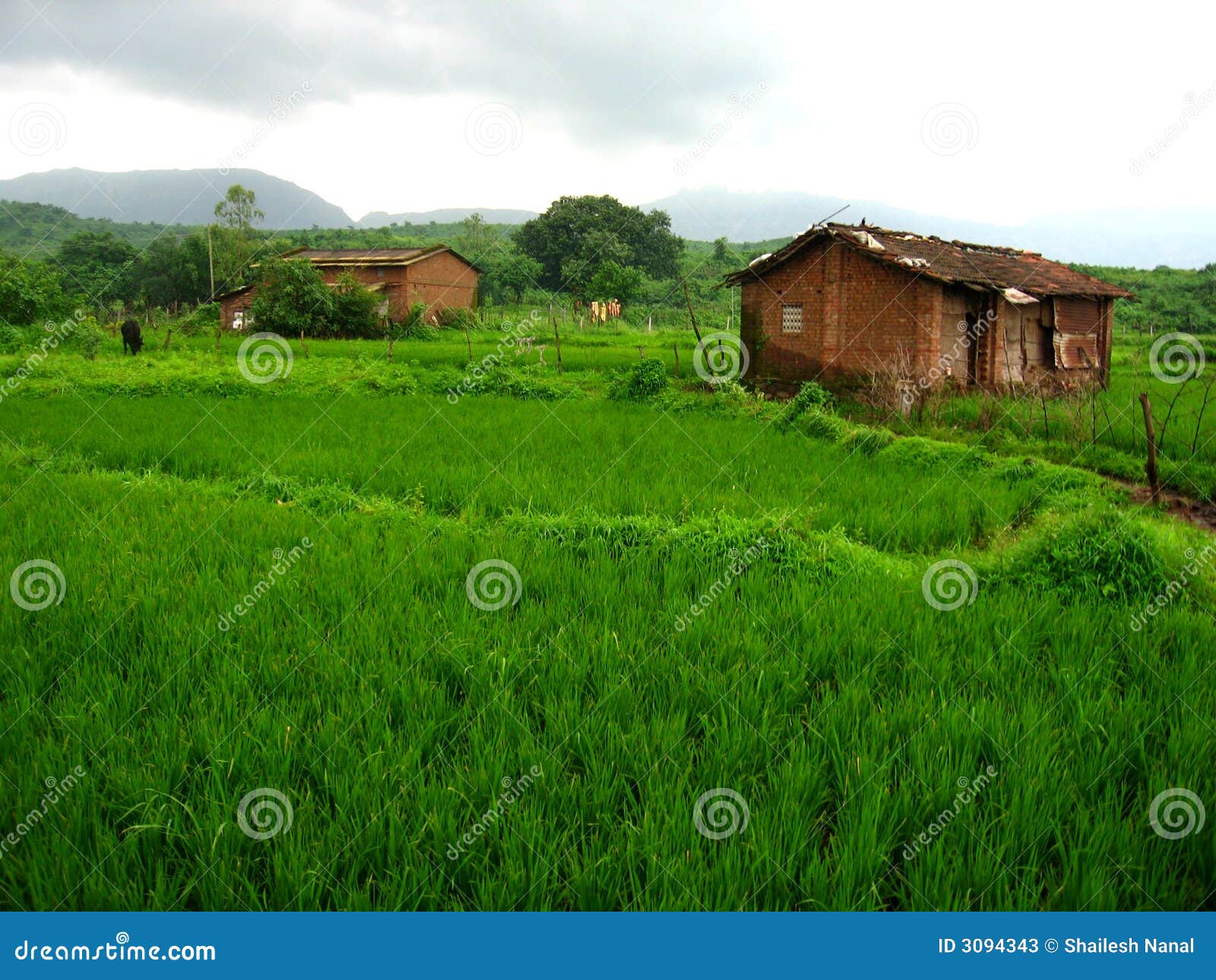 lush green landscape definition lush green landscape definition