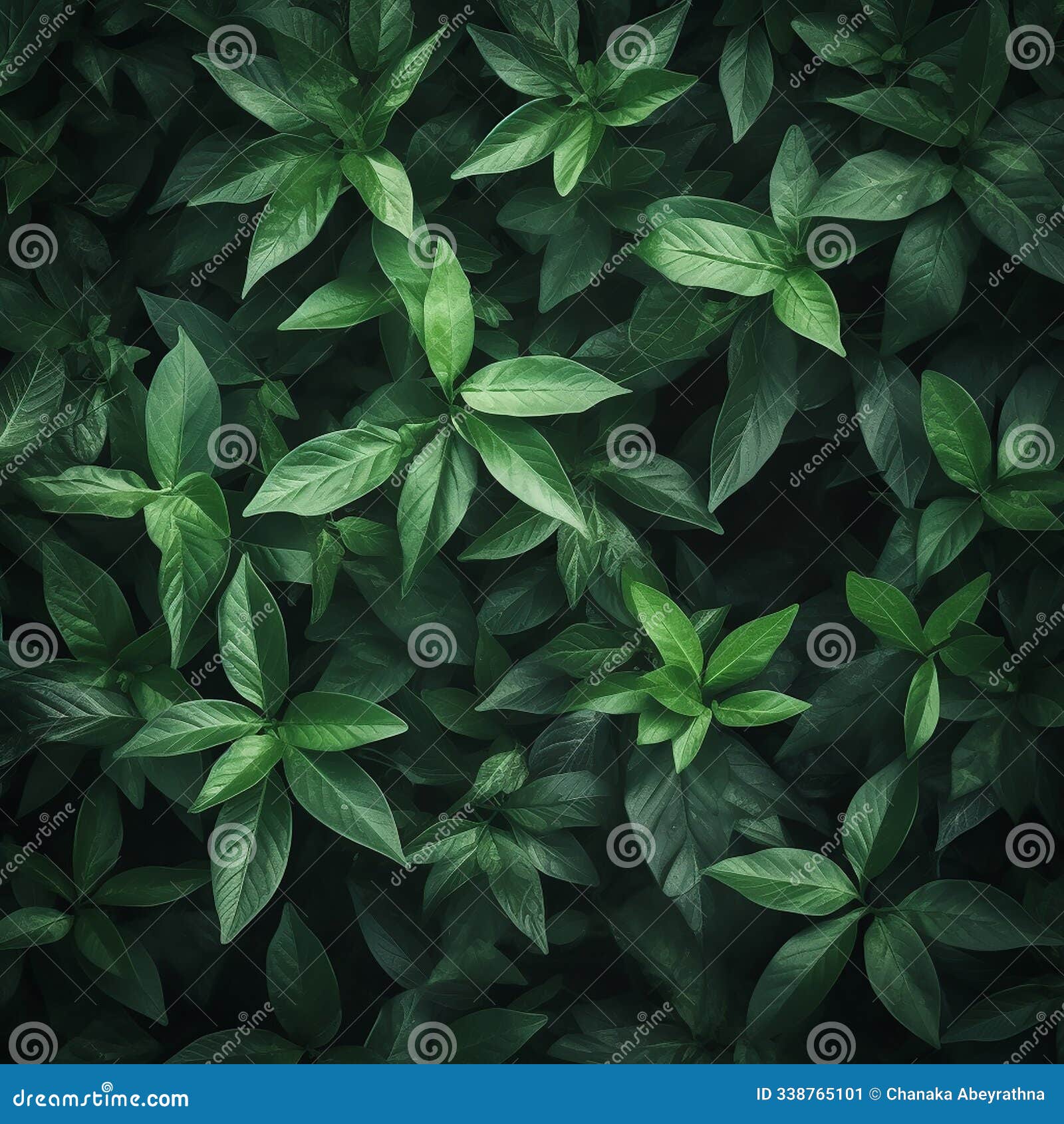 **lush green leaves: natureâs embrace**