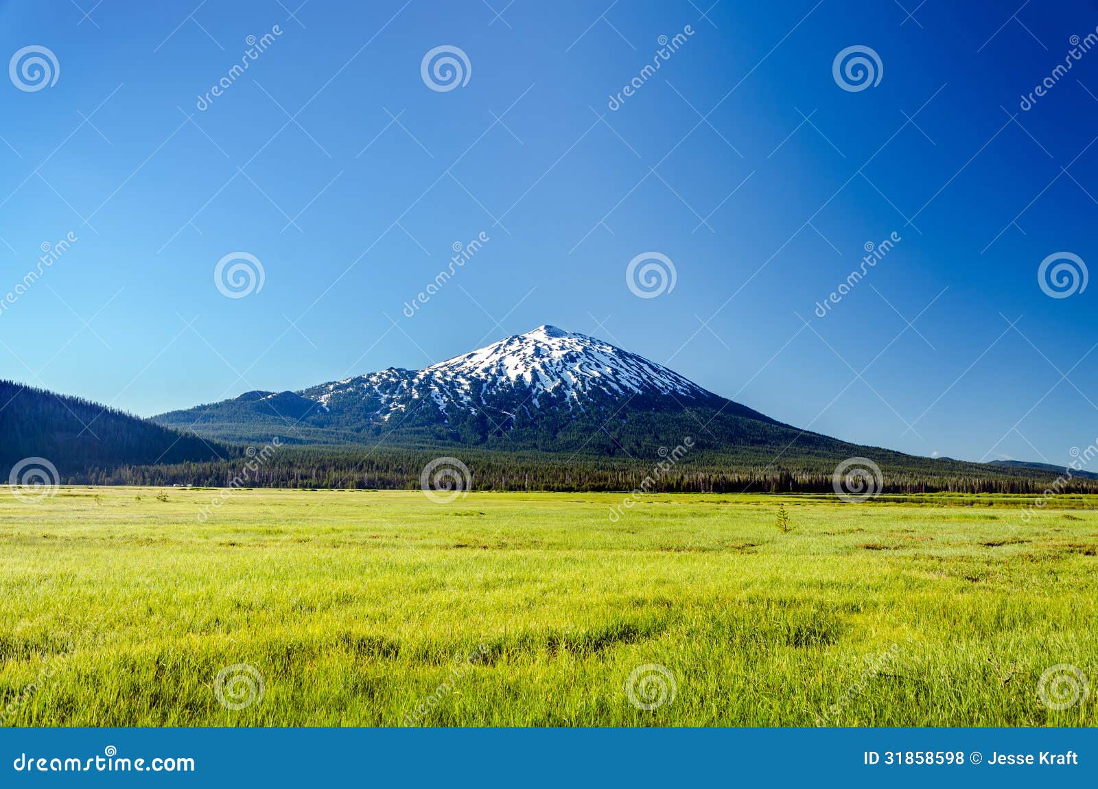 lush green meadow and mount bachelor