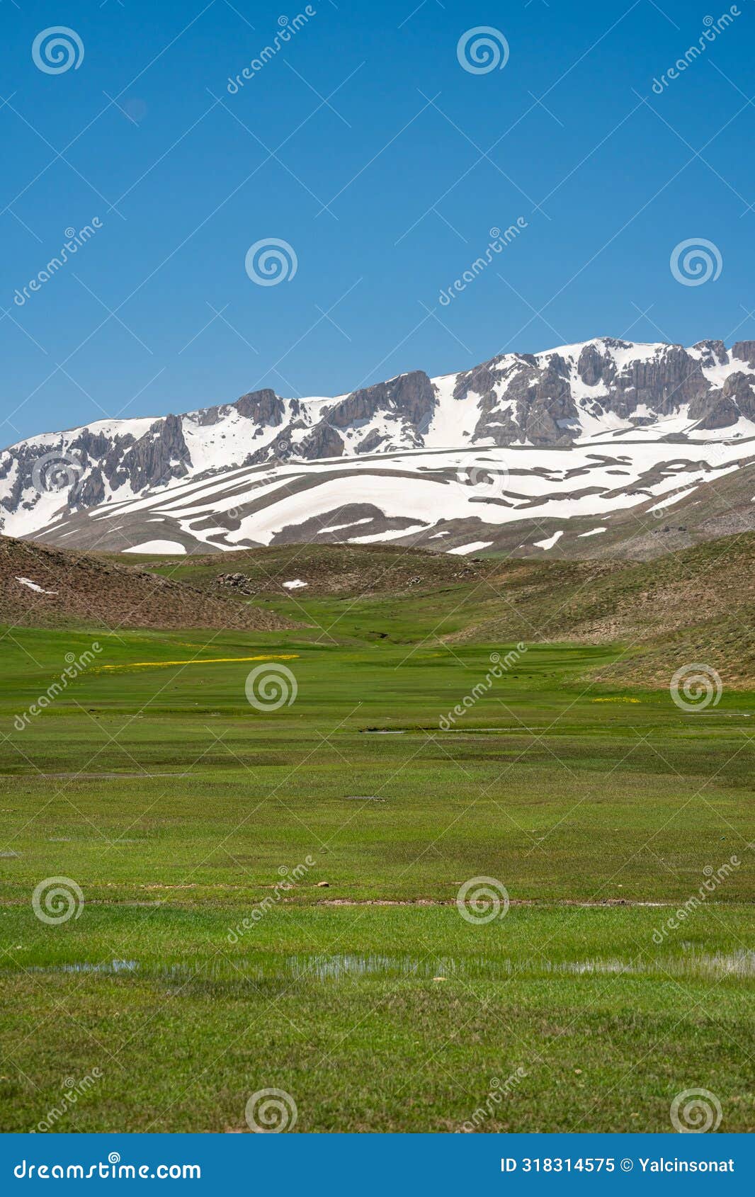 the lush green sobucimen plateau in spring and the mountains with some melted snow behind