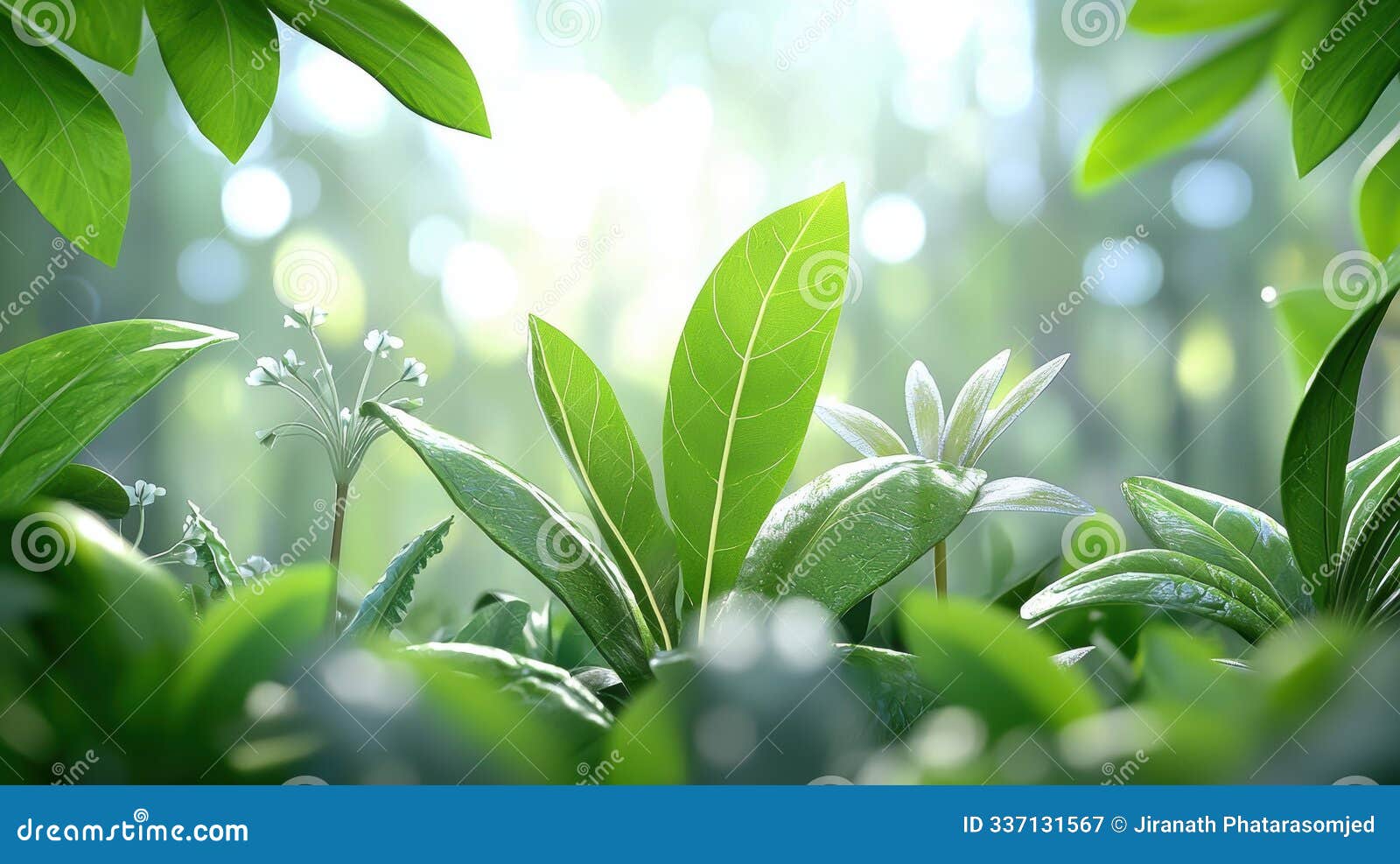 lush greenery in a high fidelity rainforest scene