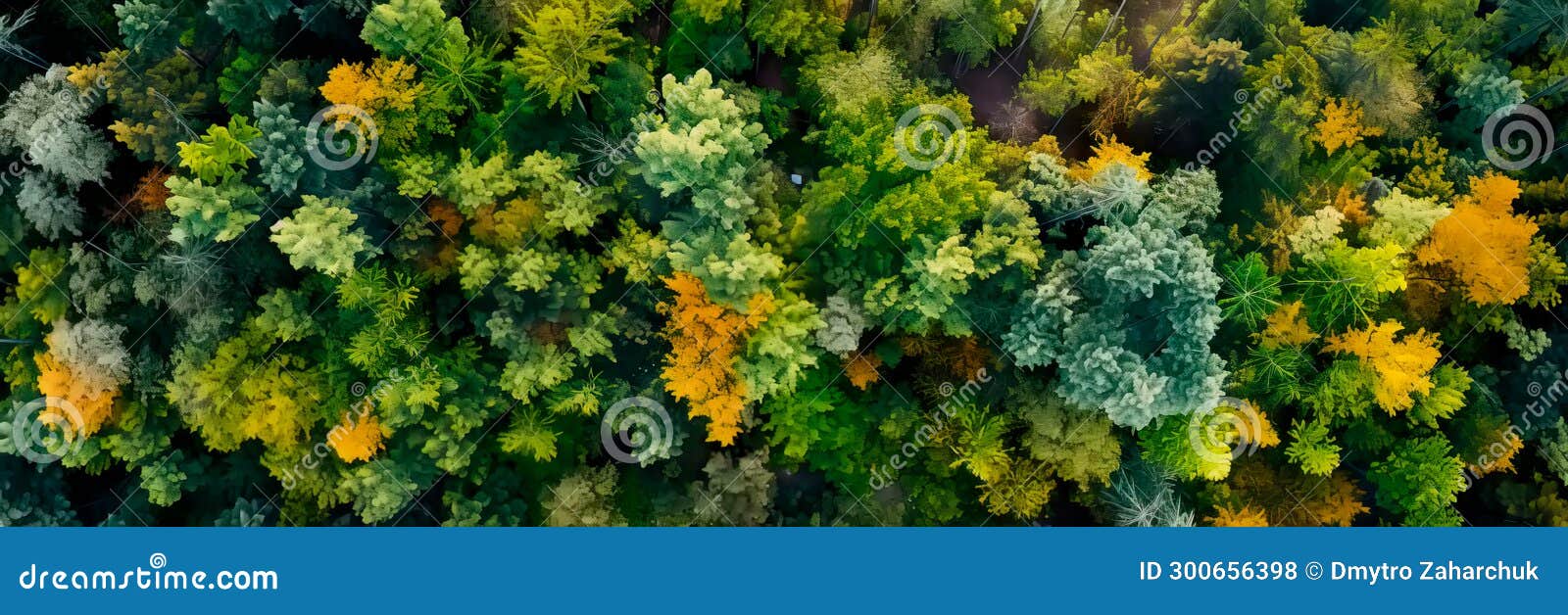 The Lush and Intricate Texture of a Forest Canopy Formed by Trees and