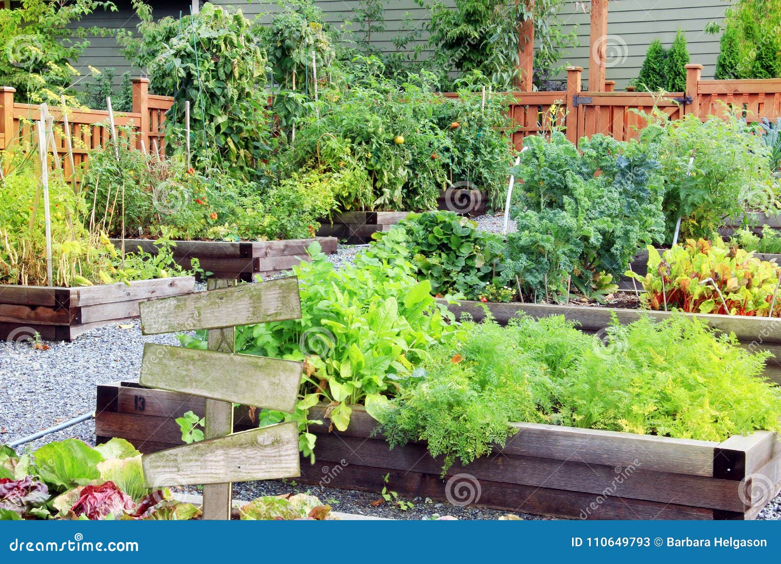 vegetable and herb garden.