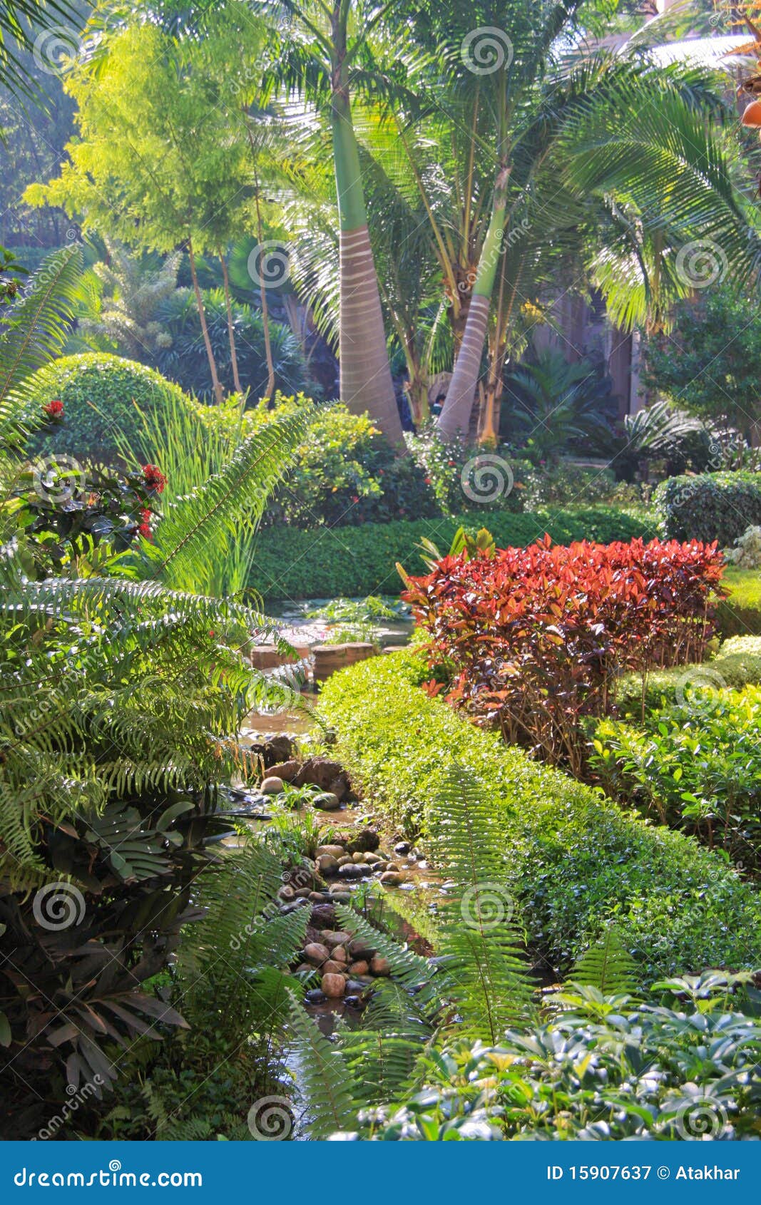 lush tropical garden in bangalore