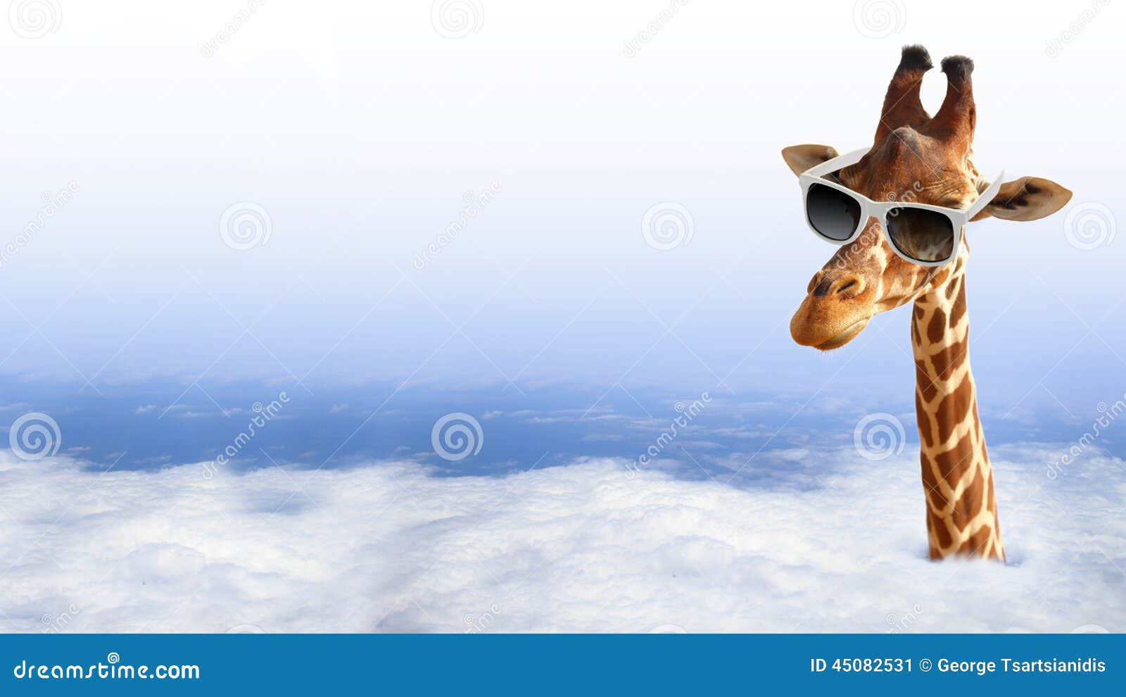 Lustige Giraffe Mit Sonnenbrille Stockbild Bild Von Sonnenbrille Giraffe