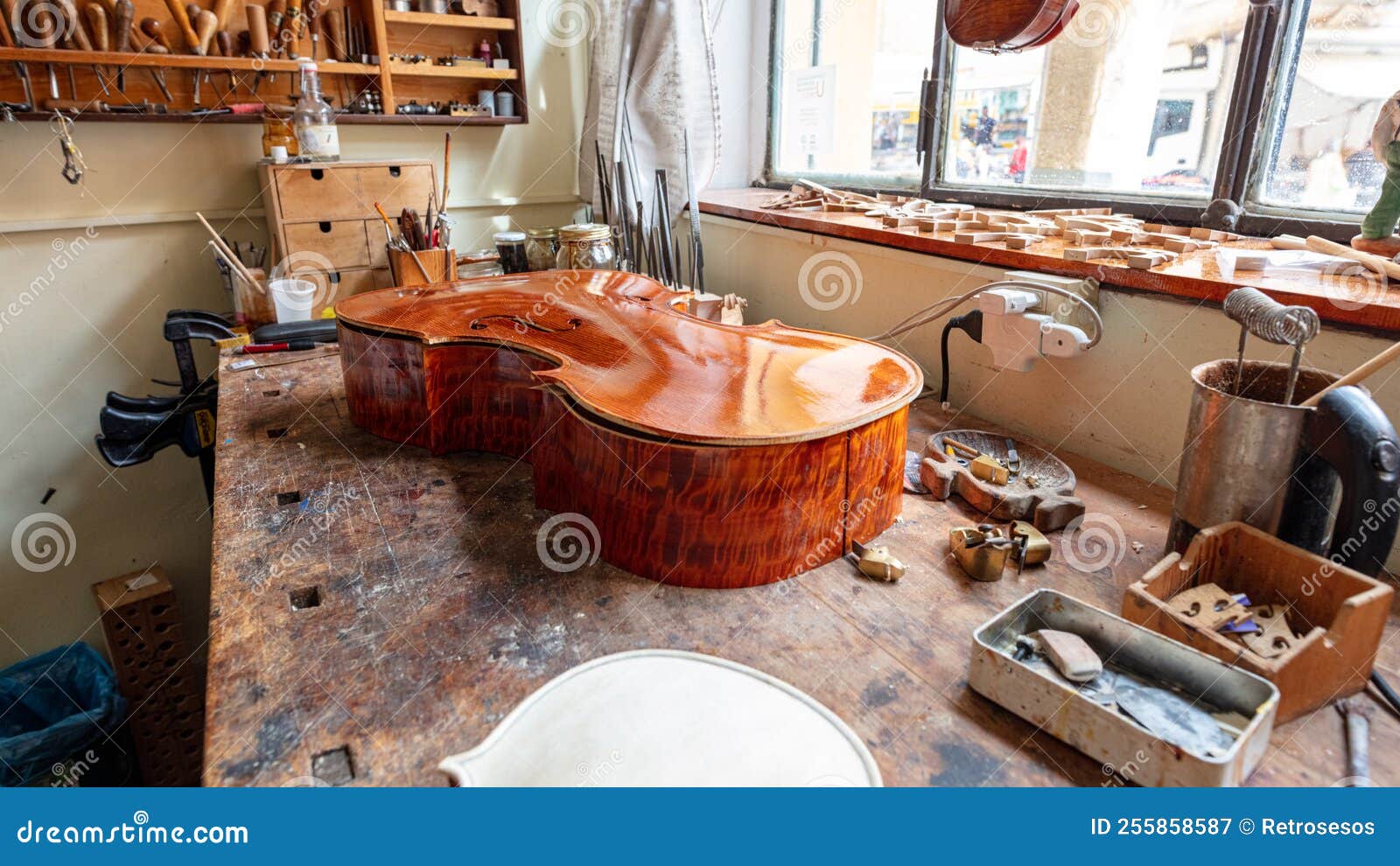 luthier attacching the front tables to the ribs of a cello in workshop