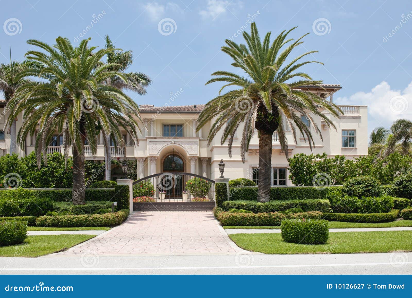 luxurious florida mansion