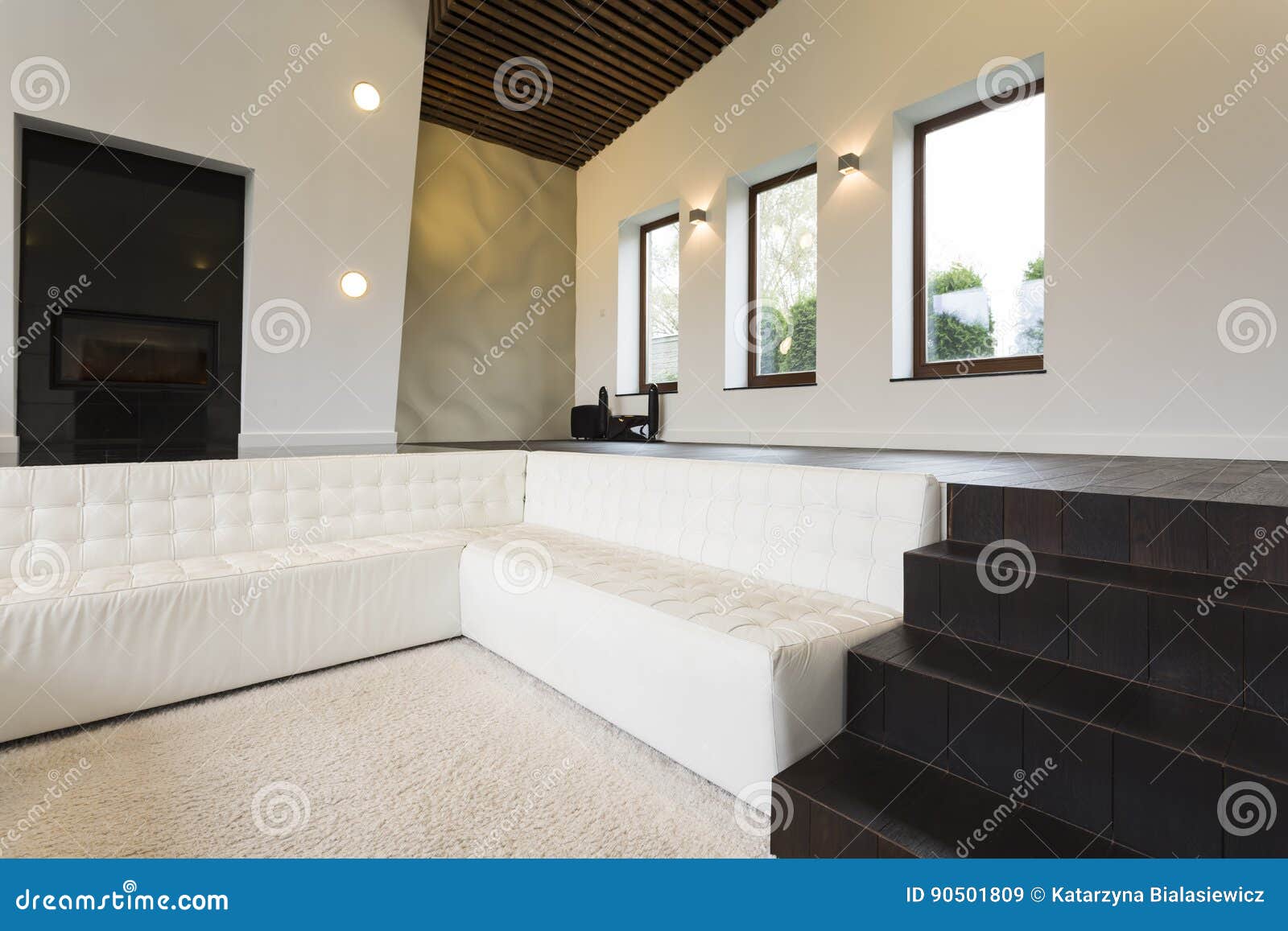 Luxurious Living Room with Sofa Stock Image Image of elegantindoors