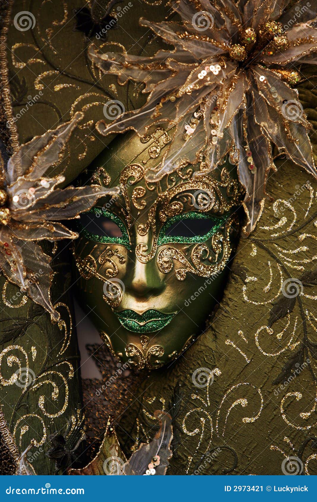 Luxurious mask stock image. Image of black, feathers, play 2973421