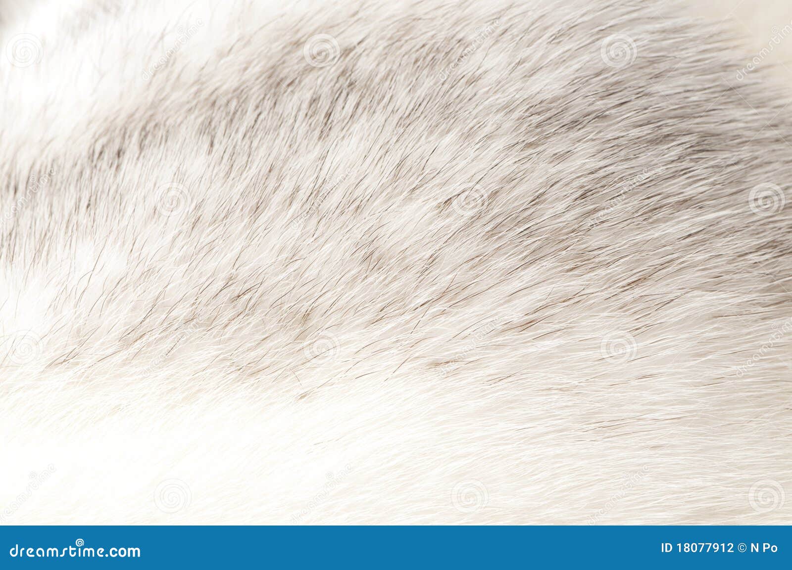 luxurious mink fur texture