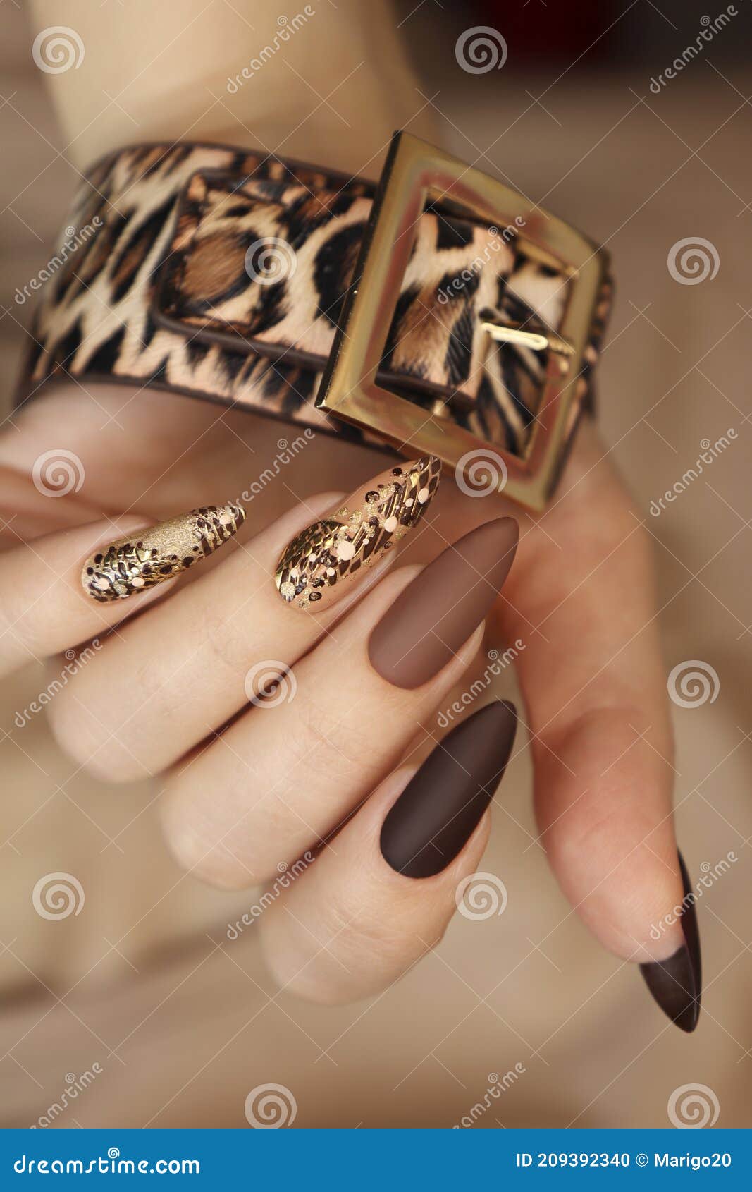Luxurious Multicolored Manicure with Animal Design Stock Photo - Image of  design, nails: 209392340
