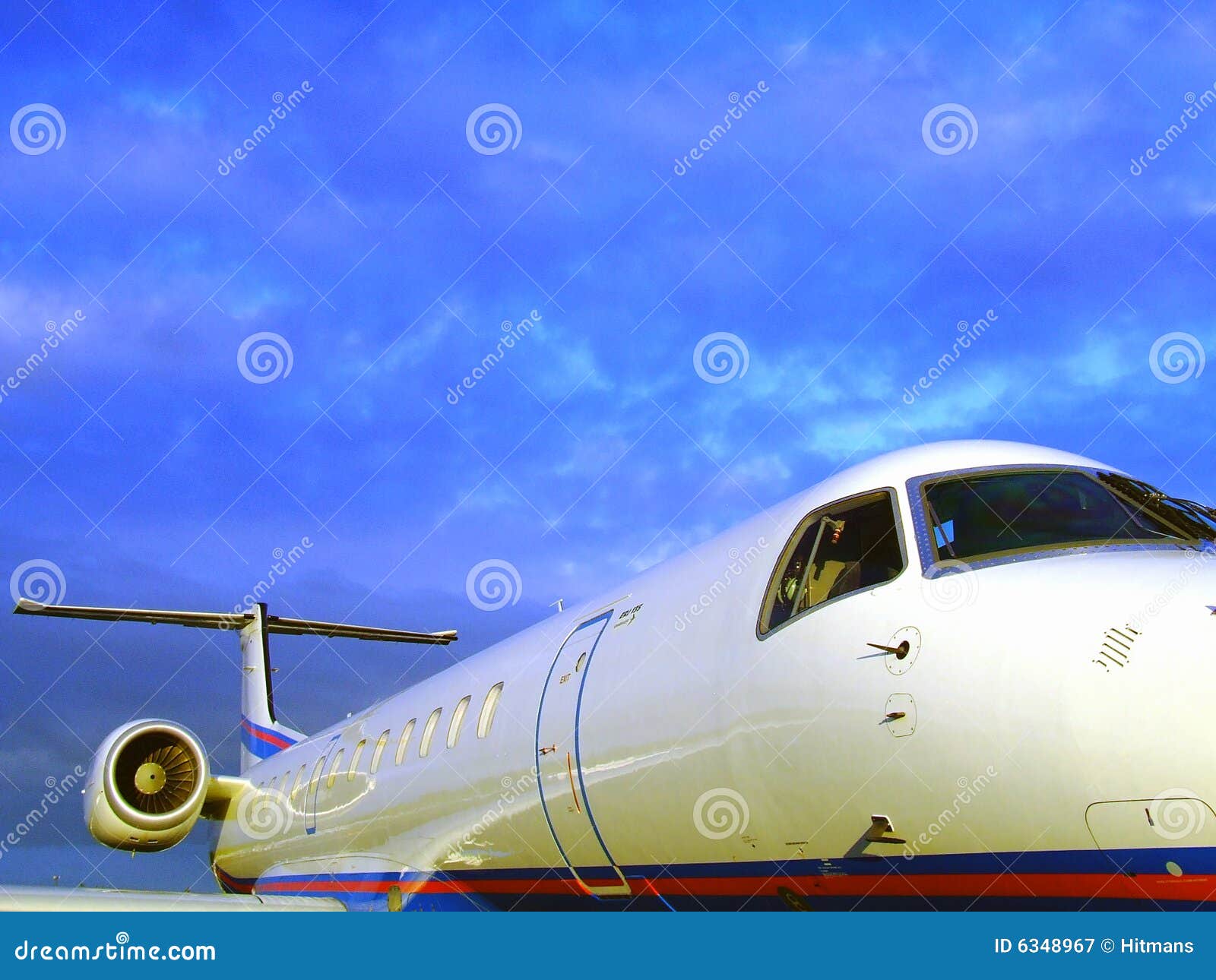 Luxurious private plane stock image. Image of flight, wealth - 6348967