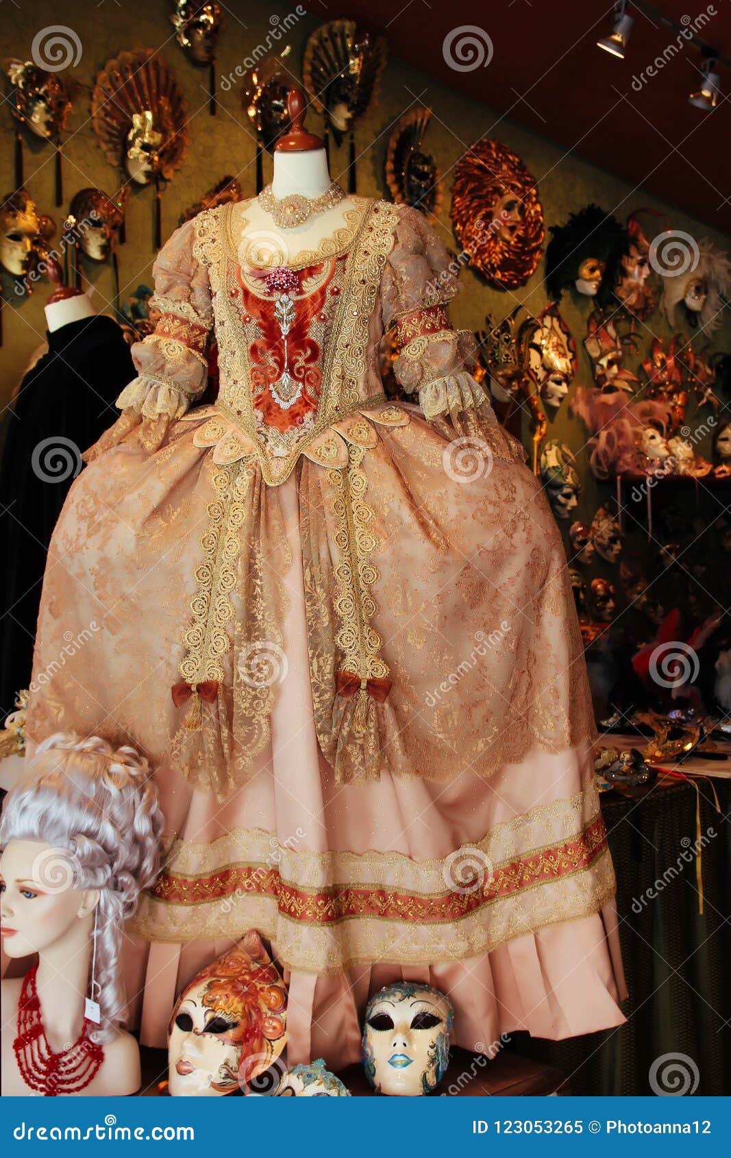 Luxurious Venetian Dress for a ...