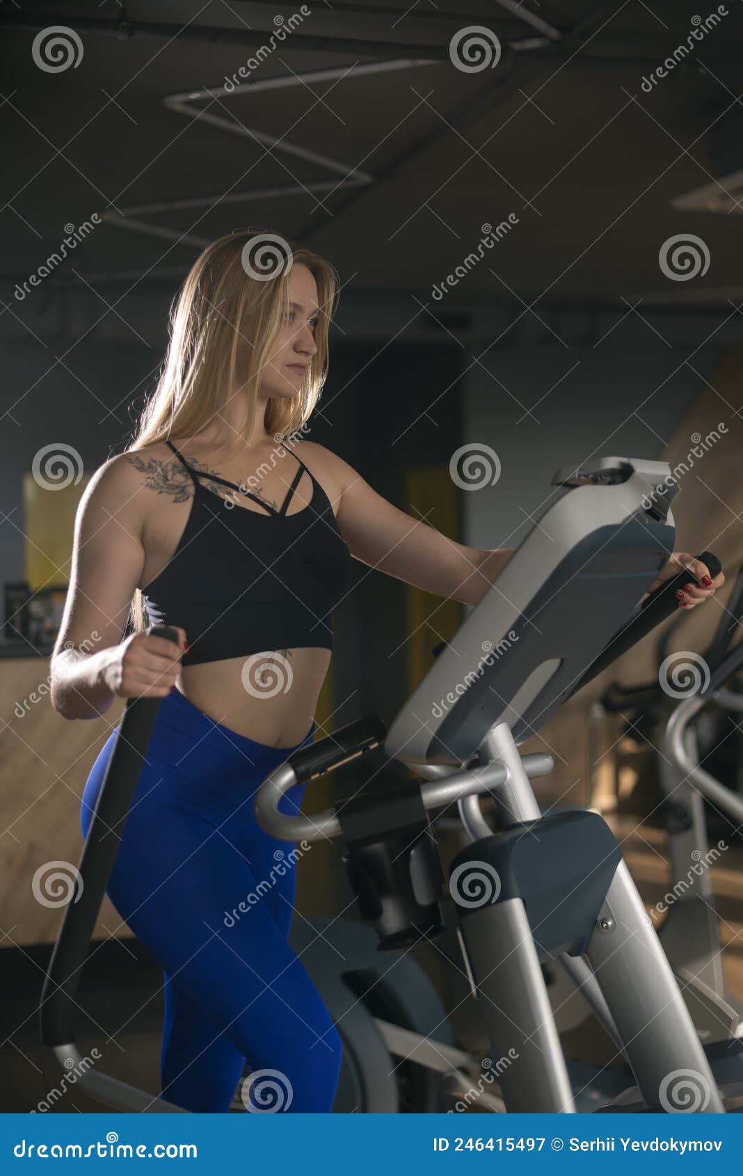 Fit Blonde Elliptical Trainer Stock Photos - Free & Royalty-Free Stock  Photos from Dreamstime