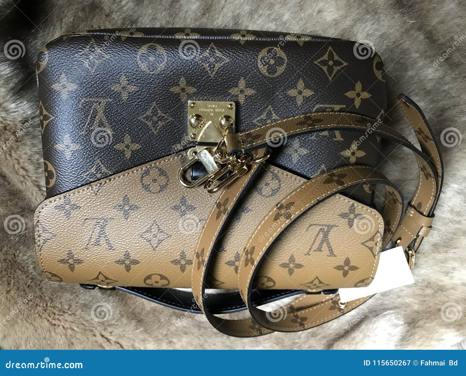 Luxury Shopping Bag Louis Vuitton Model Reverse Bag Photography - Image of model, lvbag: 115650267