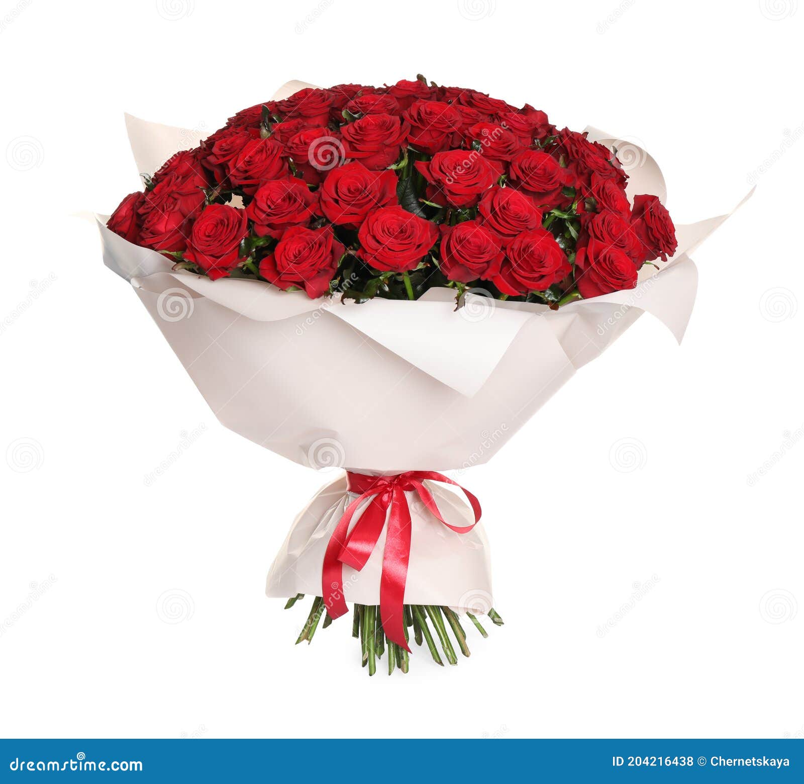 Luxury Bouquet of Fresh Red Roses Isolated on White Stock Photo Image