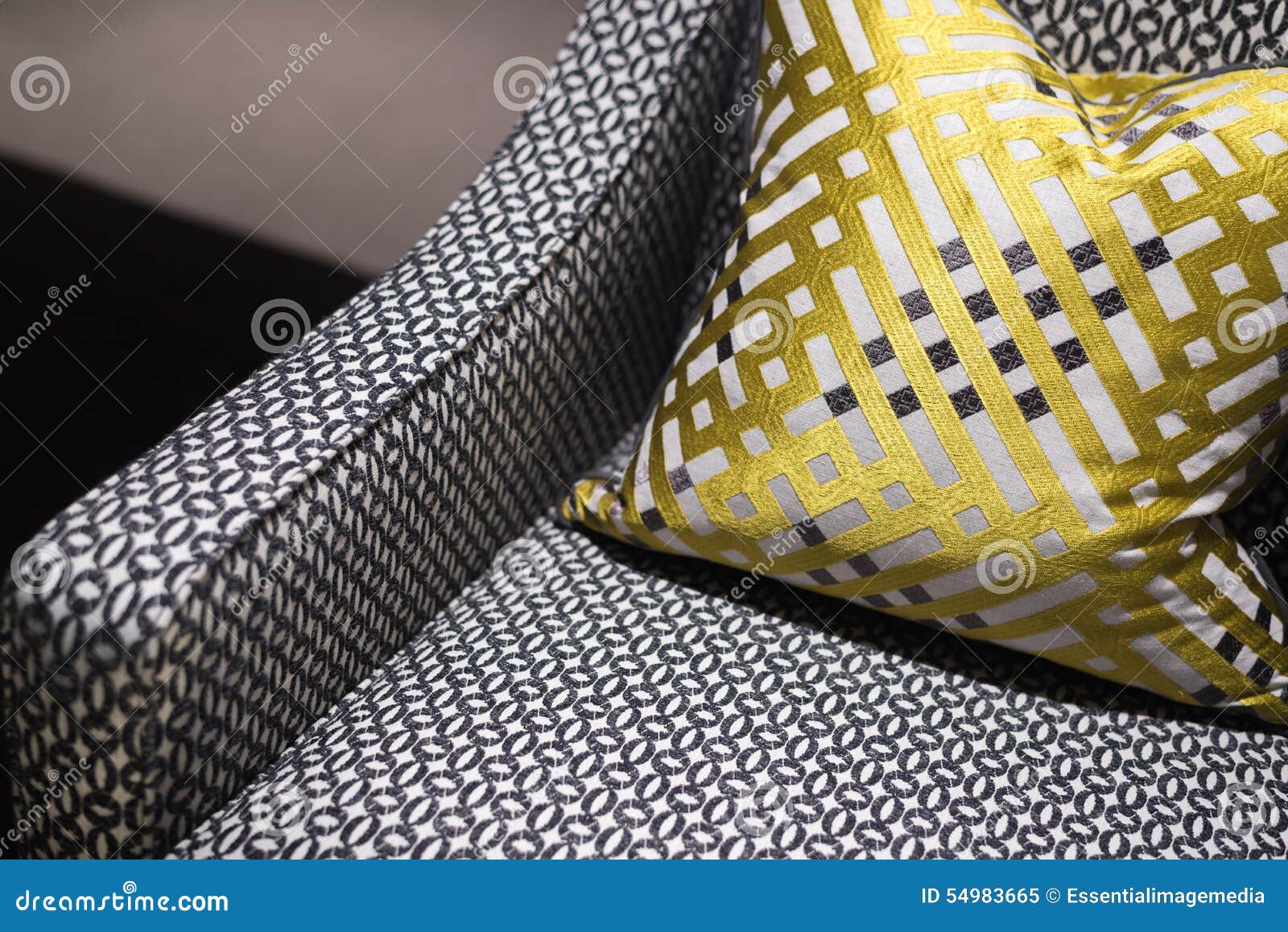Luxury Chair and Cushion stock image. Image of copy, furniture 54983665