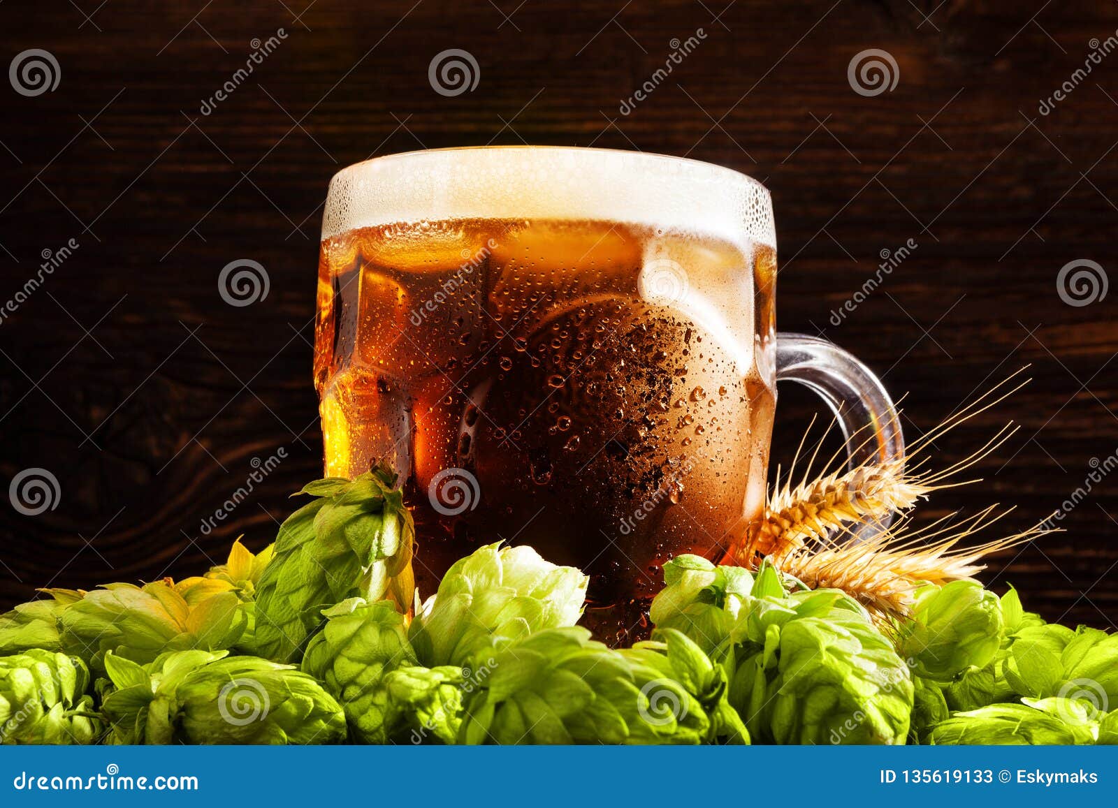 Luxury Draft Beer with Hops. Stock Image Image of glass, hops 135619133