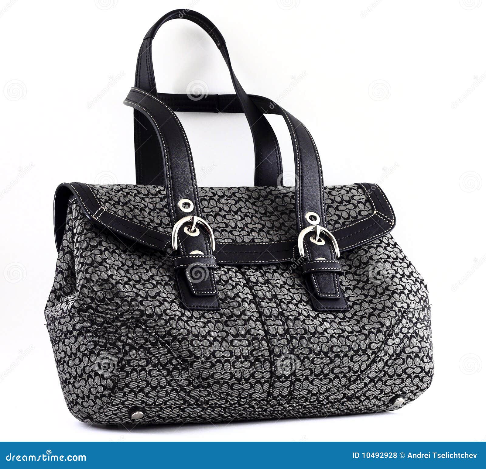 Luxury handbag stock photo. Image of feminine, safari 10492928