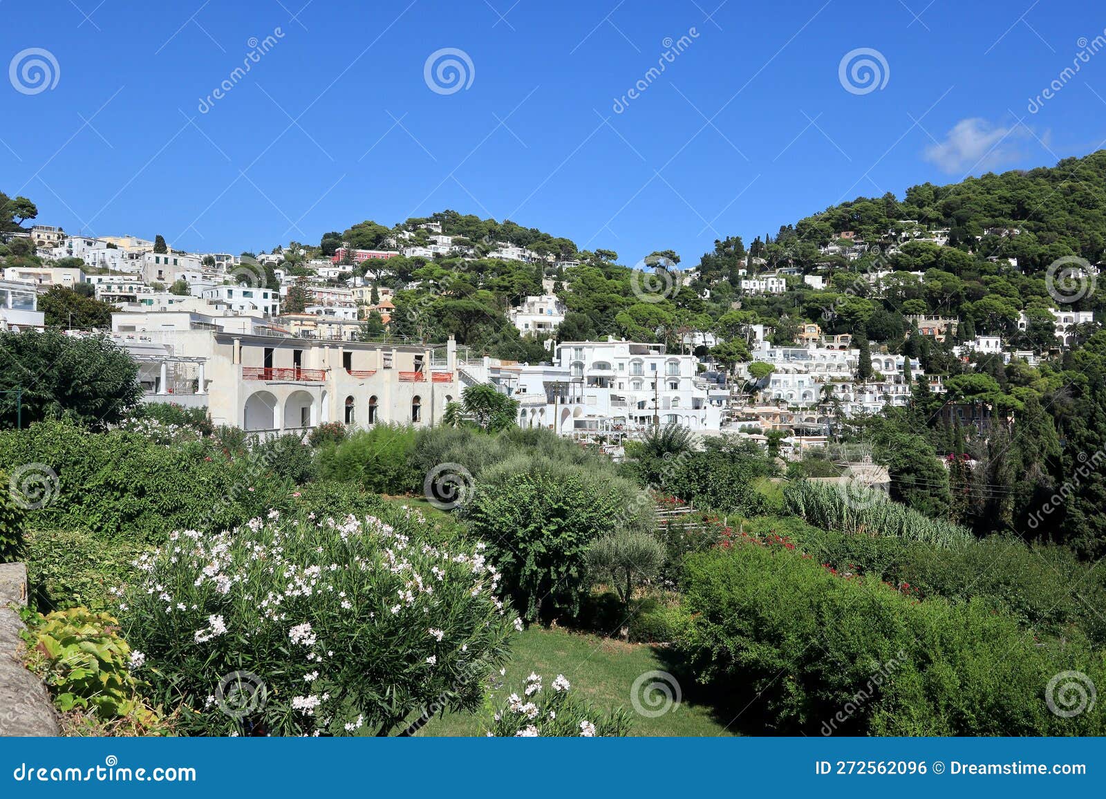 luxury homes on steep hillsides of capri