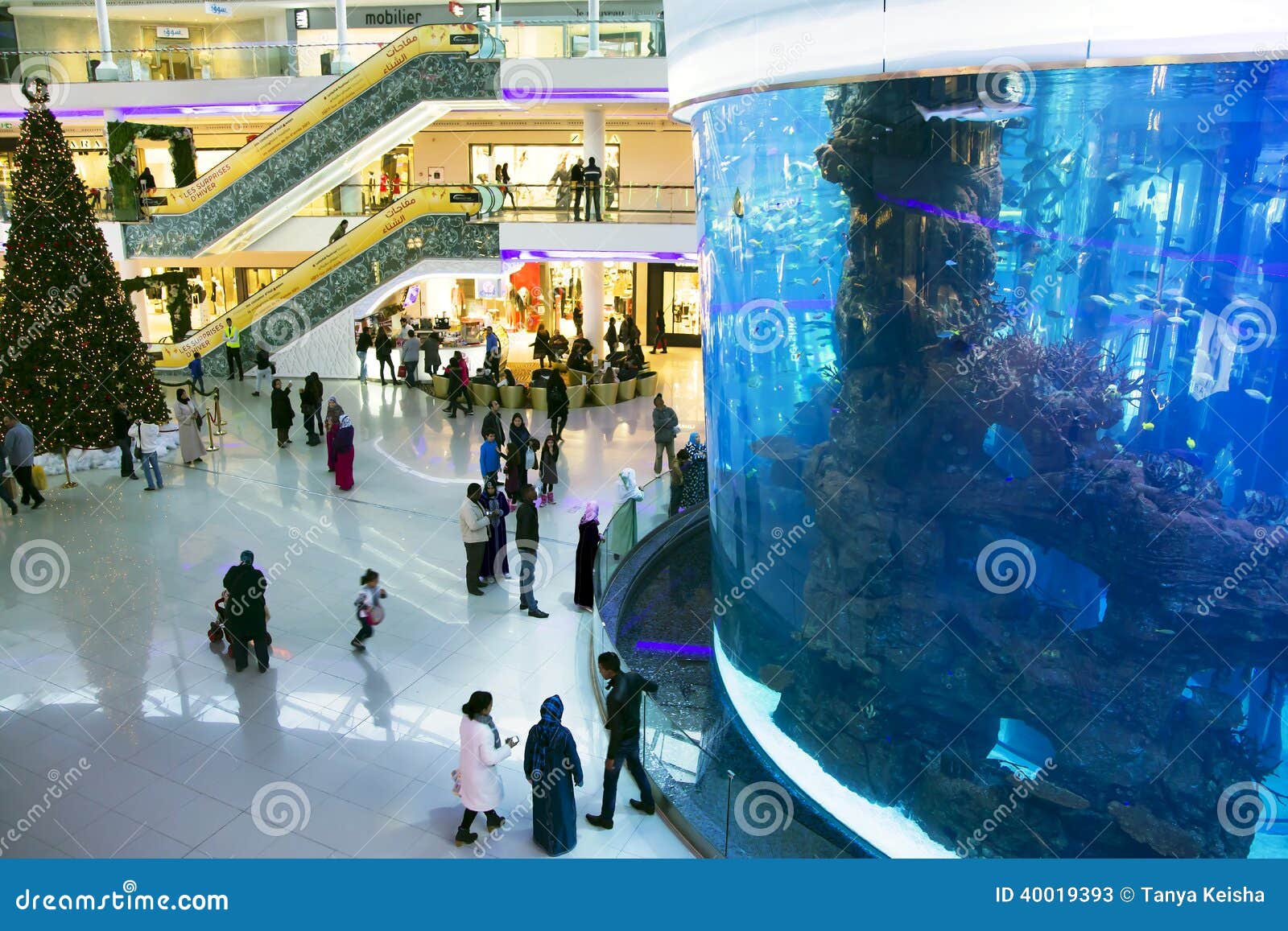 4,450 Mall Has Stock Photos - Free & Royalty-Free Stock Photos from  Dreamstime