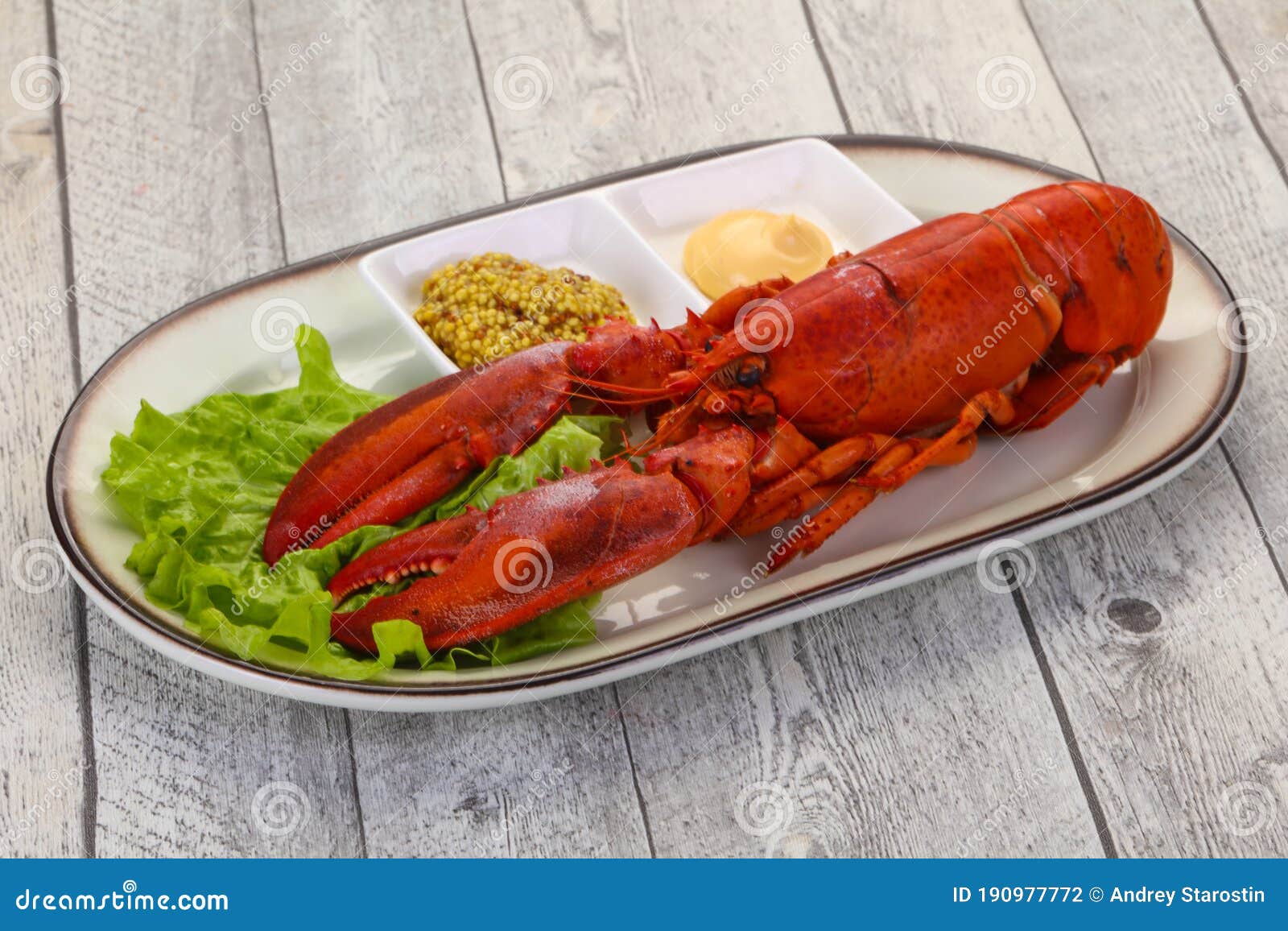 Luxury Lobster with sauce stock photo. Image of restaurant 190977772