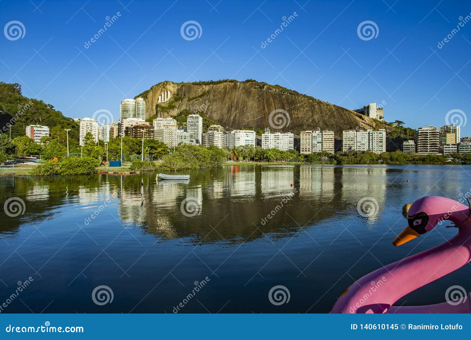 luxury place. swan boats pink. location in lagoa rodrigo de freitas in brazil, city of rio de janeiro.