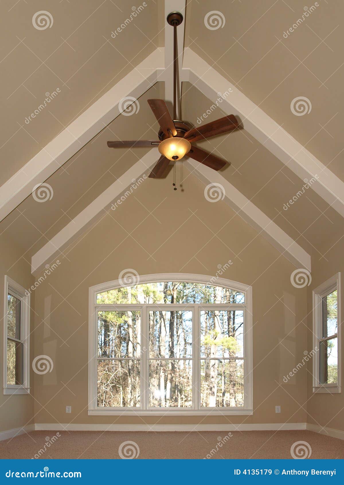 Luxury Room With Vaulted Ceiling Stock Image Image Of