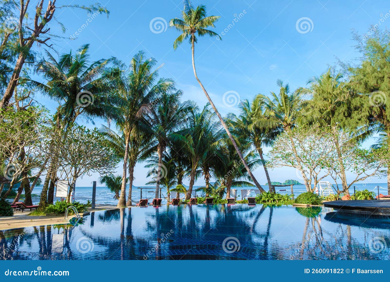 Luxury Swimming Pool With Beach Beds And Palm Trees Stock Photo Image Luxury Swimming Pool With Beach Beds And Palm Trees Stock Photo Image