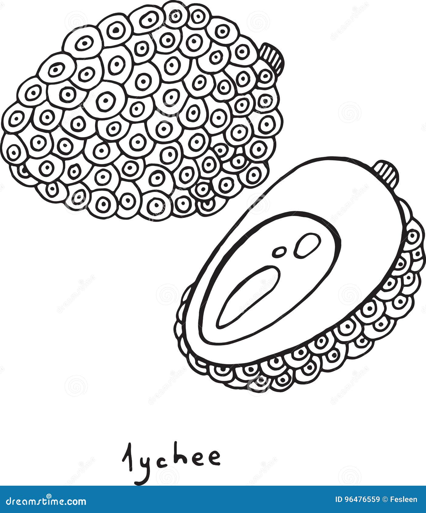 Download Lychee Coloring Page. Graphic Vector Black And White Art For Col Stock Vector - Illustration of ...