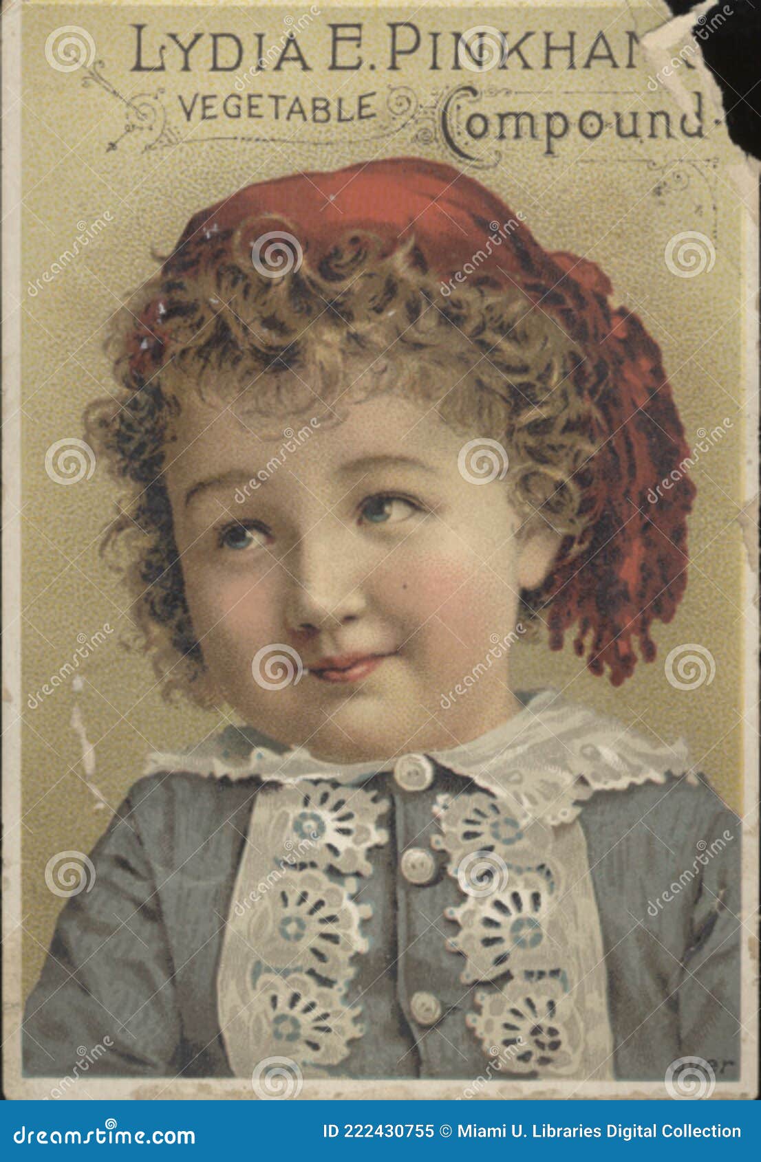 Lydia E. Pinkham's Vegetable Compound Picture. Image 222430755