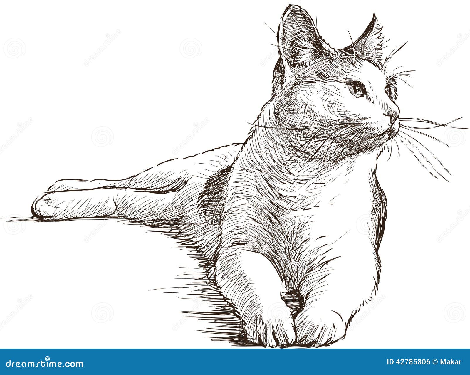 Lying Cat Stock Illustrations – 9,817 Lying Cat Stock ...