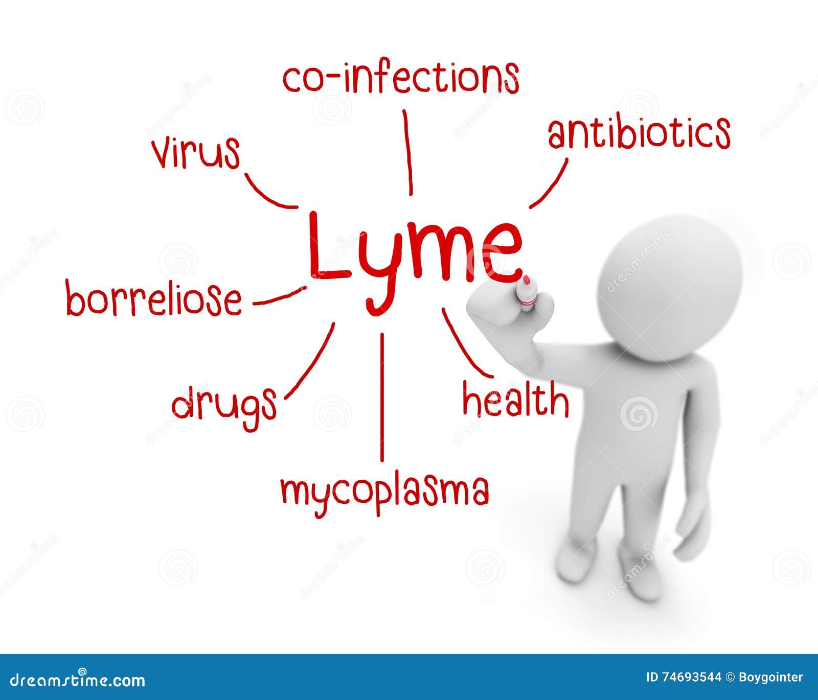Lyme stock illustration. Illustration of infection, mycoplasm 74693544