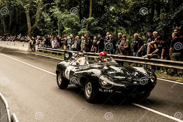 Lynx Jaguar D-Type Longonose at Vernasca Silver Flag 2023 Editorial