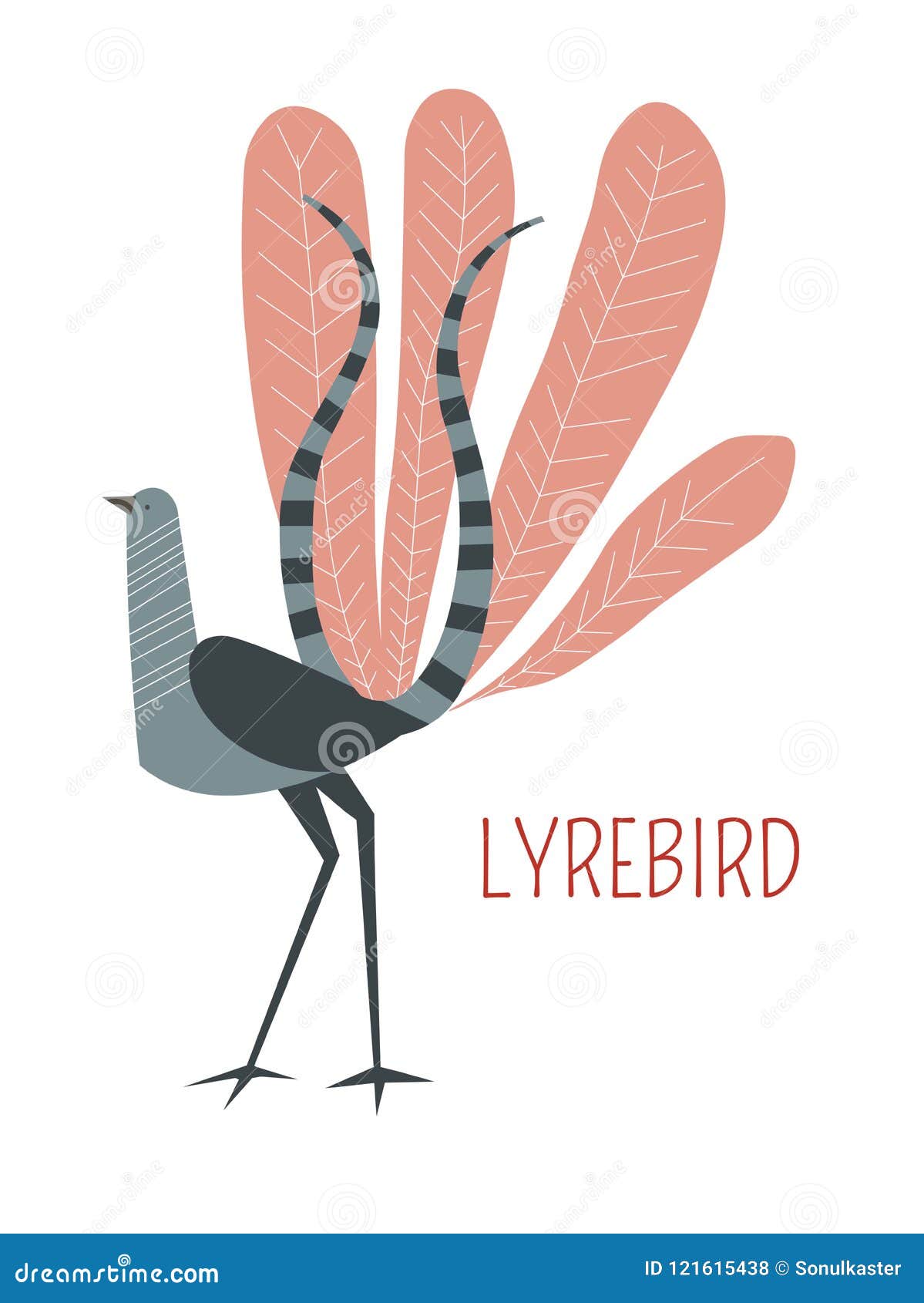 Lyrebird Bird Stock Illustrations – 119 Lyrebird Bird Stock Illustrations,  Vectors & Clipart - Dreamstime
