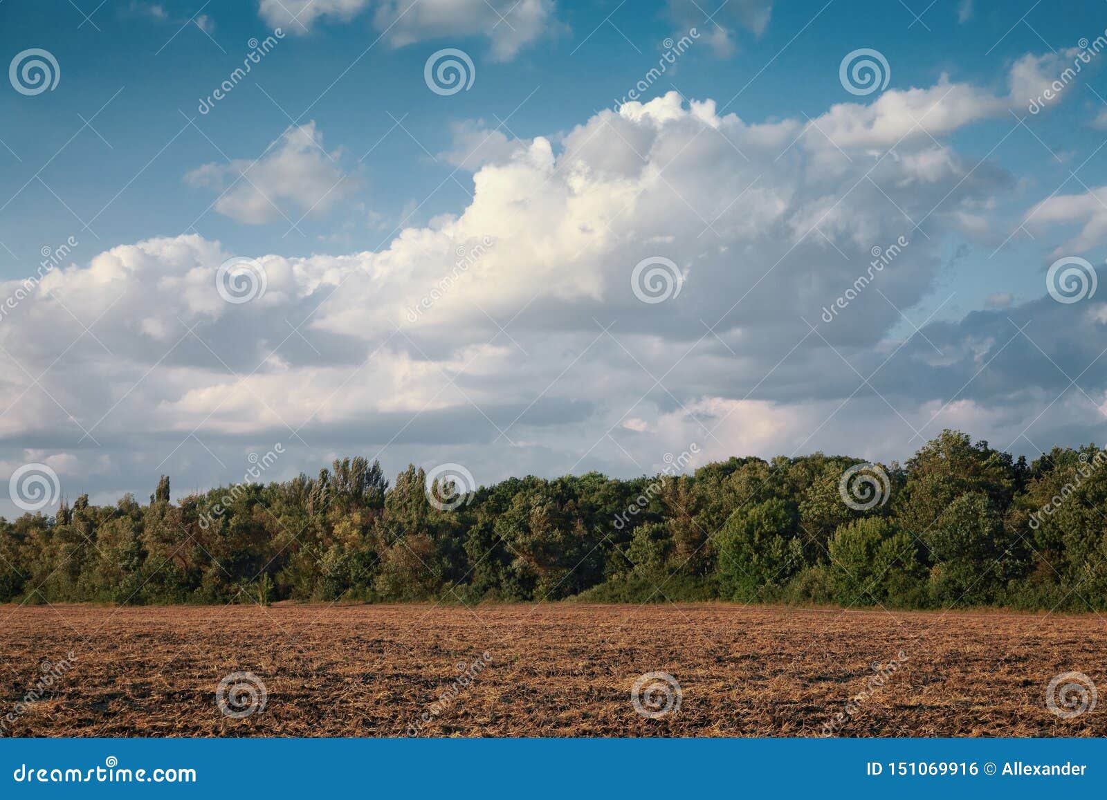 Ländliche Landschaft, gesäubertes Feld. L?ndliche Landschaft, ges?ubertes Feld gegen den blauen Himmel, im Sommer