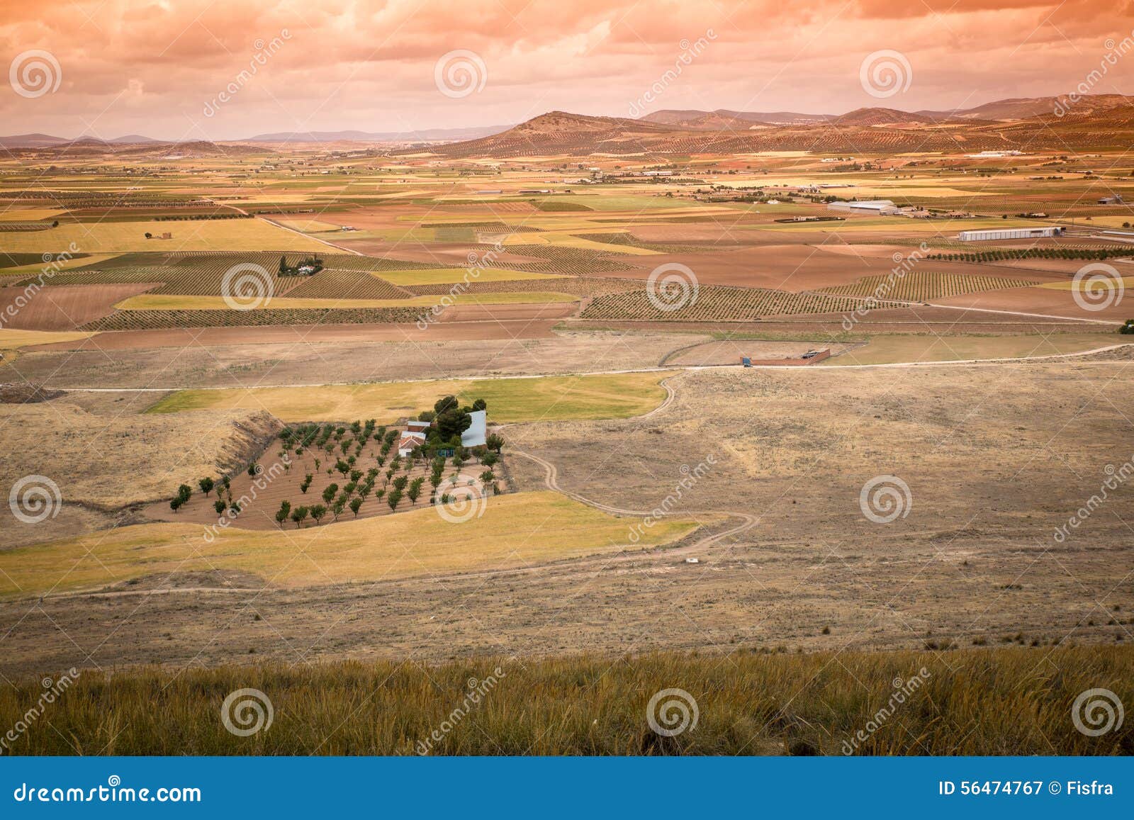 Ländliche Landschaft um Consuegra, Kastilien-La Mancha in Spanien
