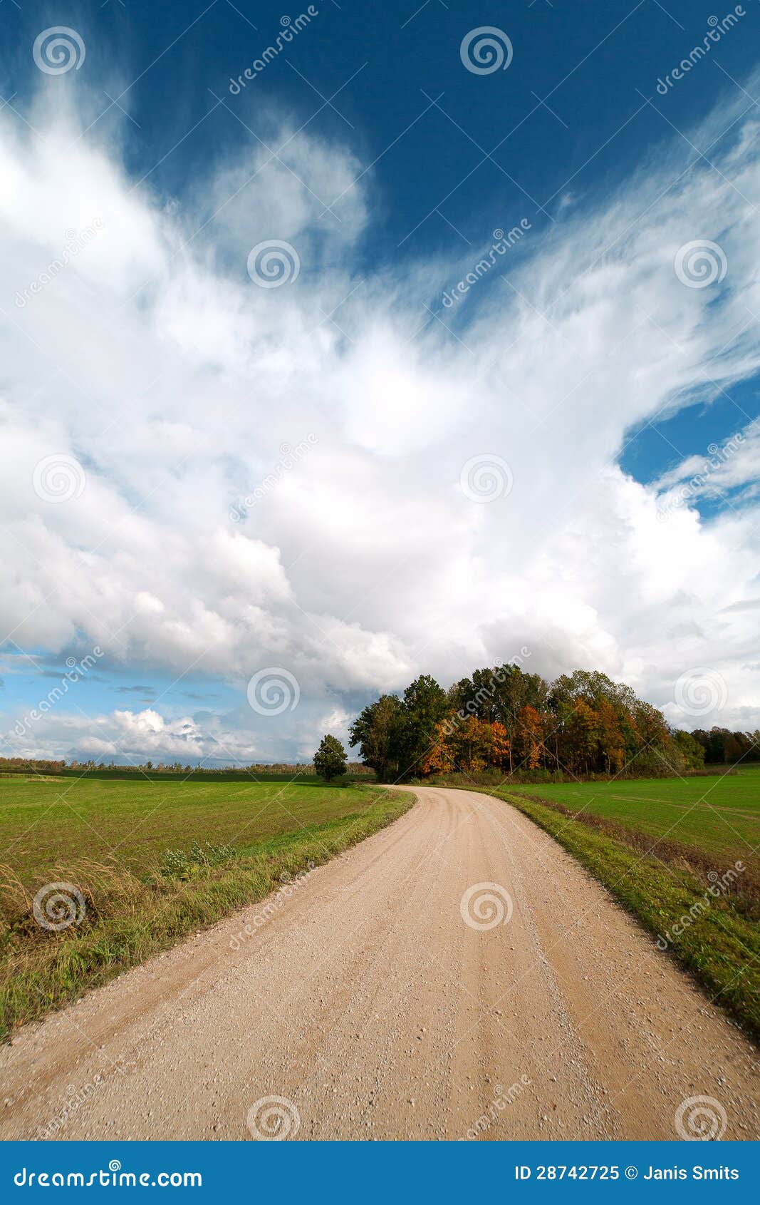 Ländliche Straße in der Sommerzeit. Landstraße am schönen Sommertag.