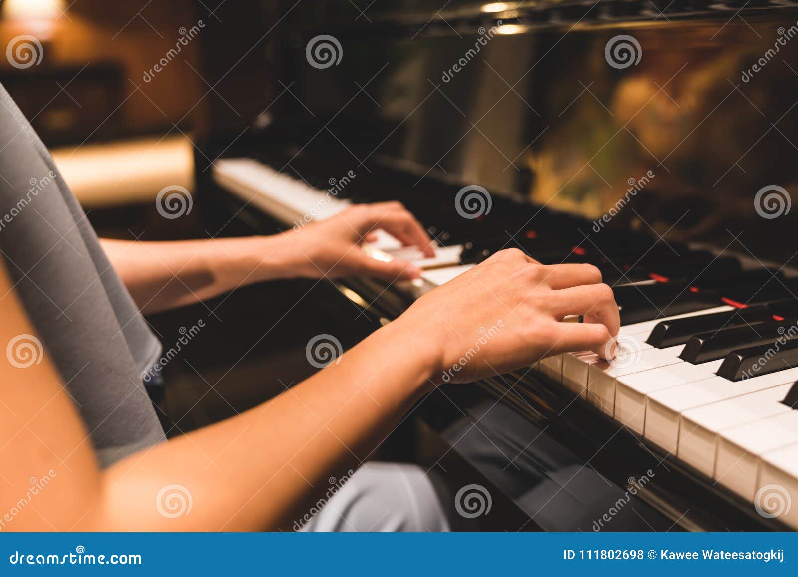Cão Que Joga a Música No Teclado Imagem de Stock - Imagem de jogar