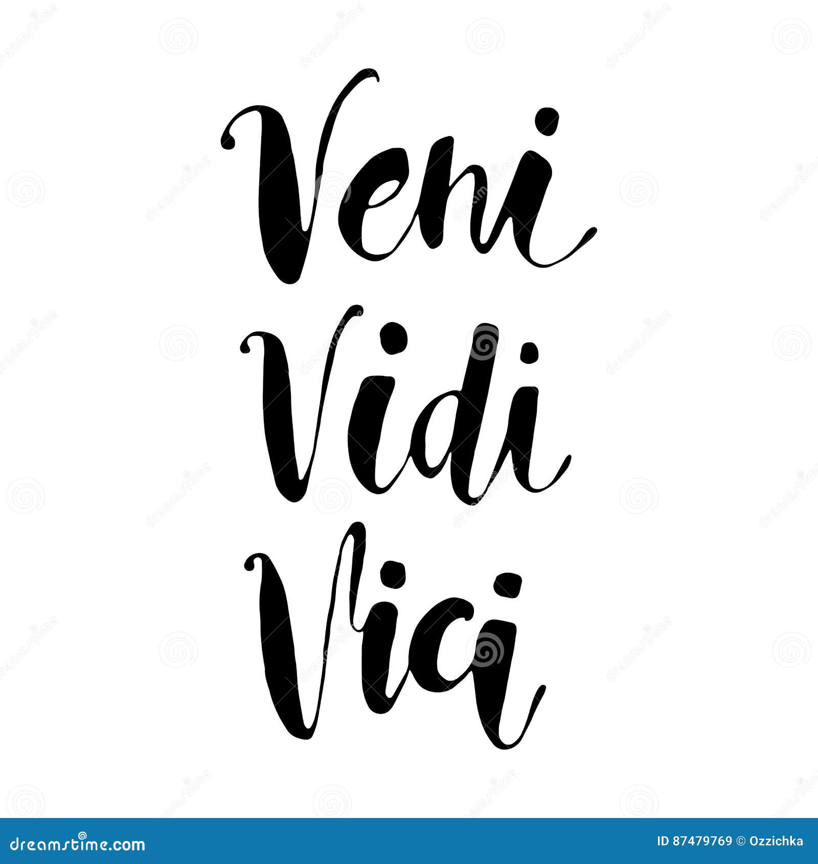 Origem da frase Veni vidi vici