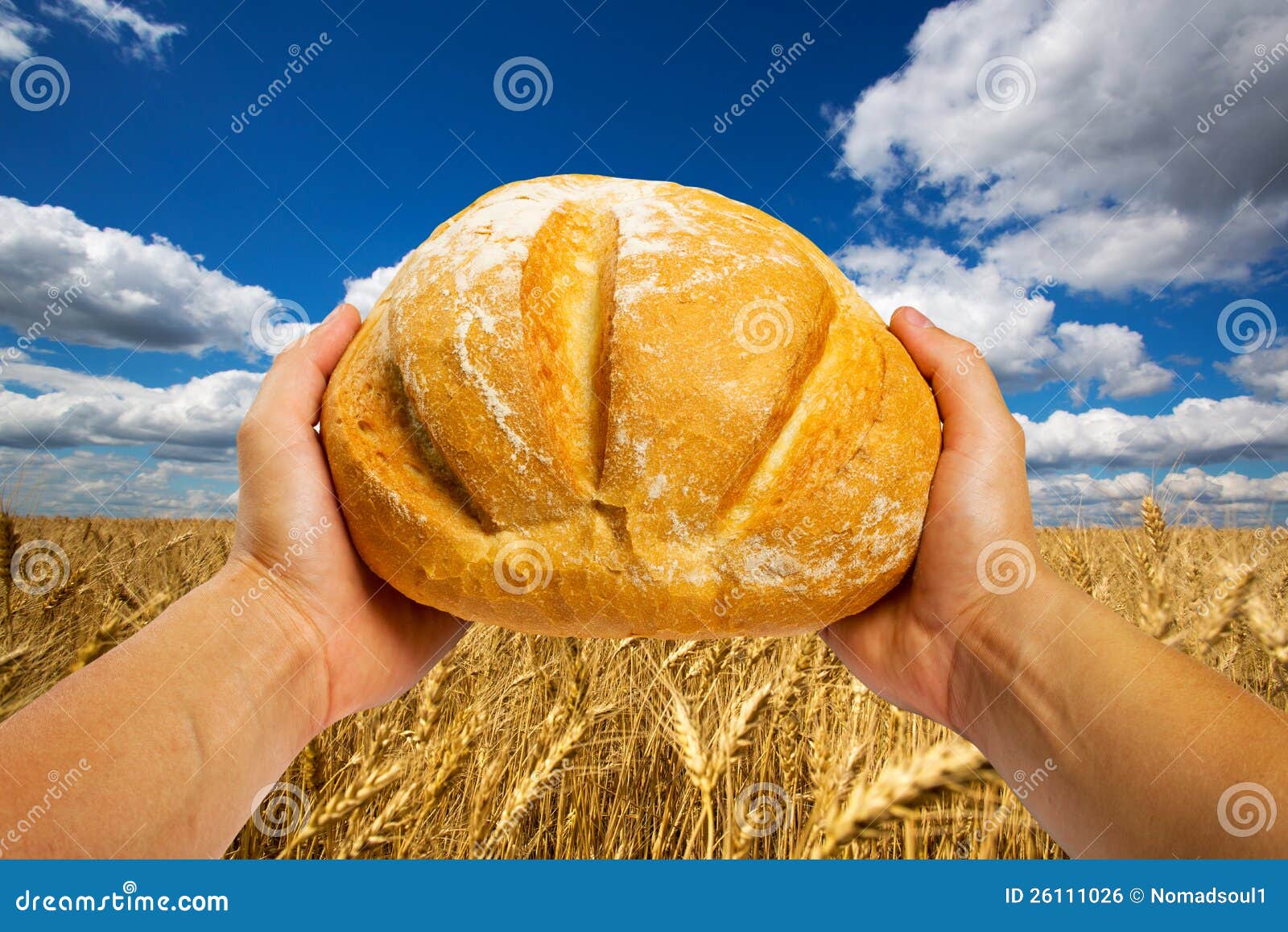 Pão na Mão