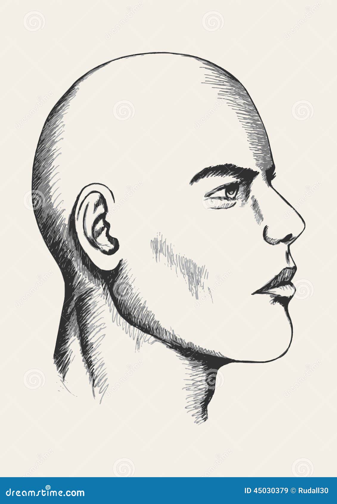 Mannliches Gesicht Vektor Abbildung Illustration Von Mann