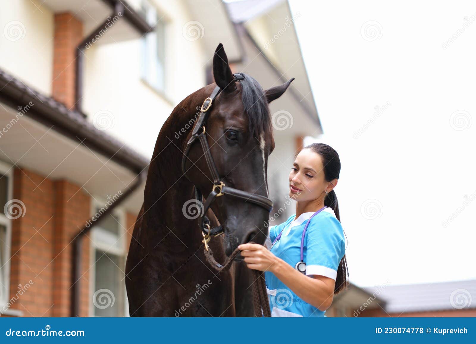 Marcas  Cavalos, Medicina veterinária, Animais de estimação