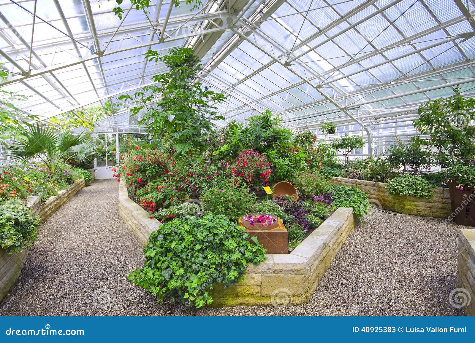 Munchen Gewachshaus Des Botanischen Gartens Redaktionelles Stockfoto Bild Von Gartens Gewachshaus 40925383