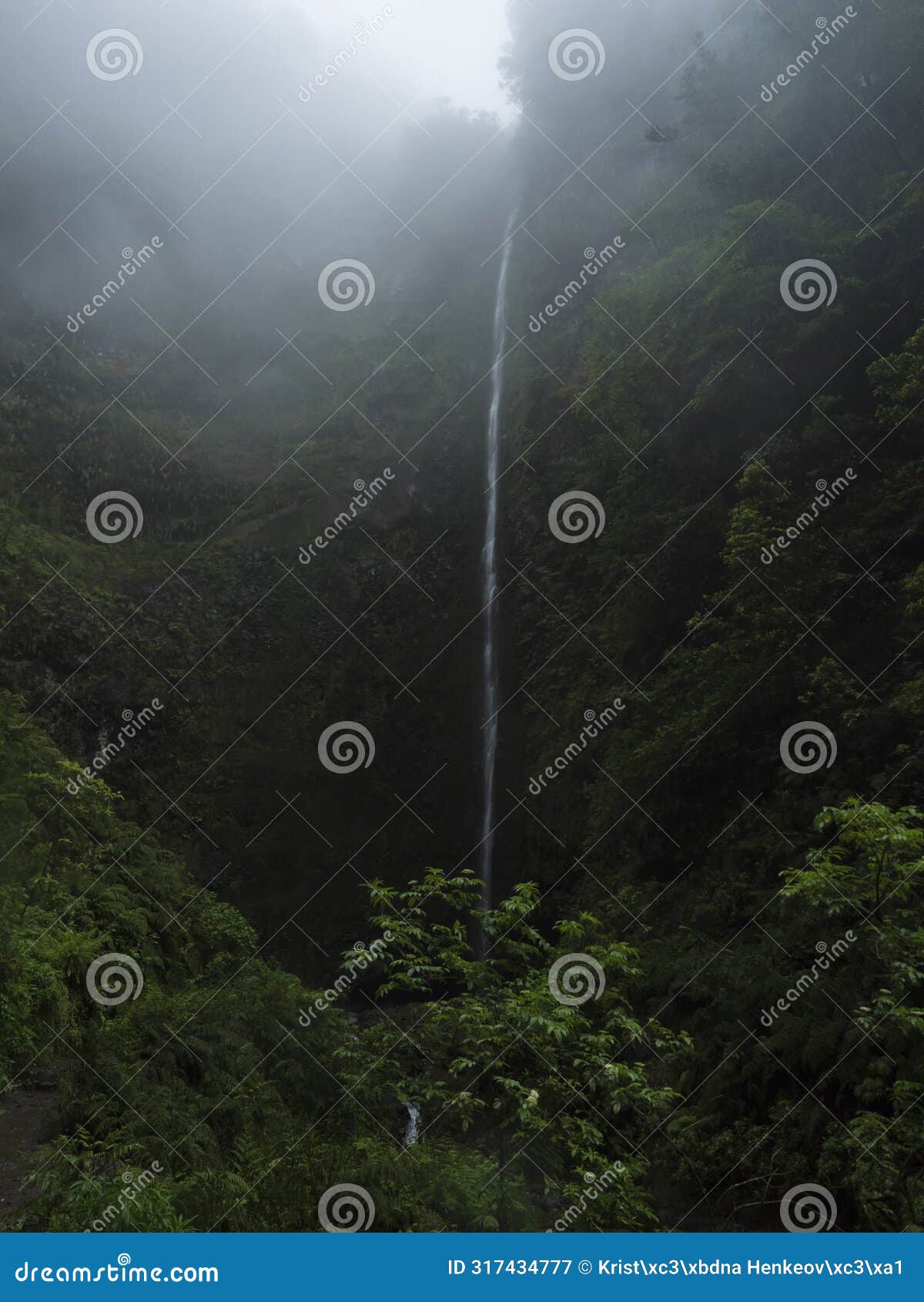 100 m high waterfall in thick fog at the end of levada caldeirao verde hiking trail, madeira island, portugal. dense