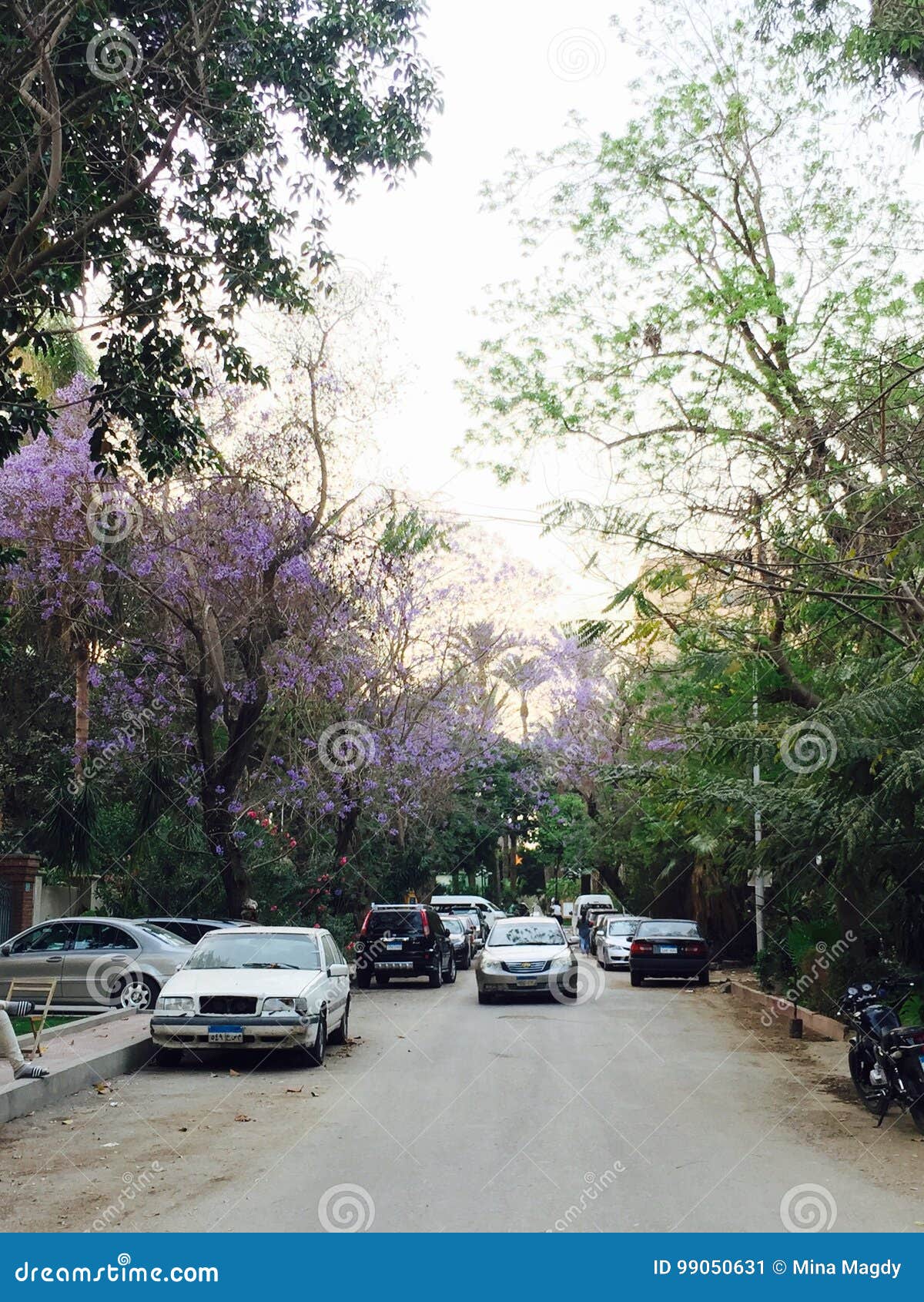 Maadi Streets editorial photo. Image of maadi, streets 99050631
