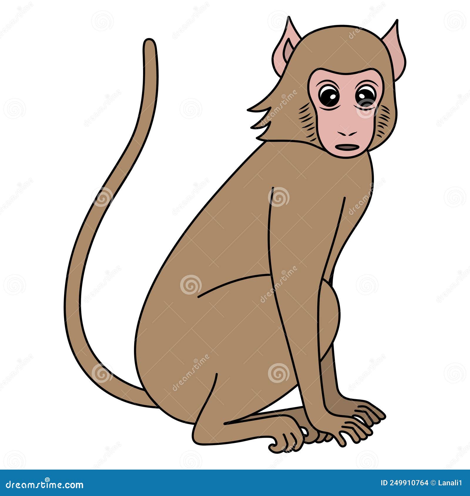 Macacos de bebê Macaco-aranha marrom Primata, macaco dos desenhos
