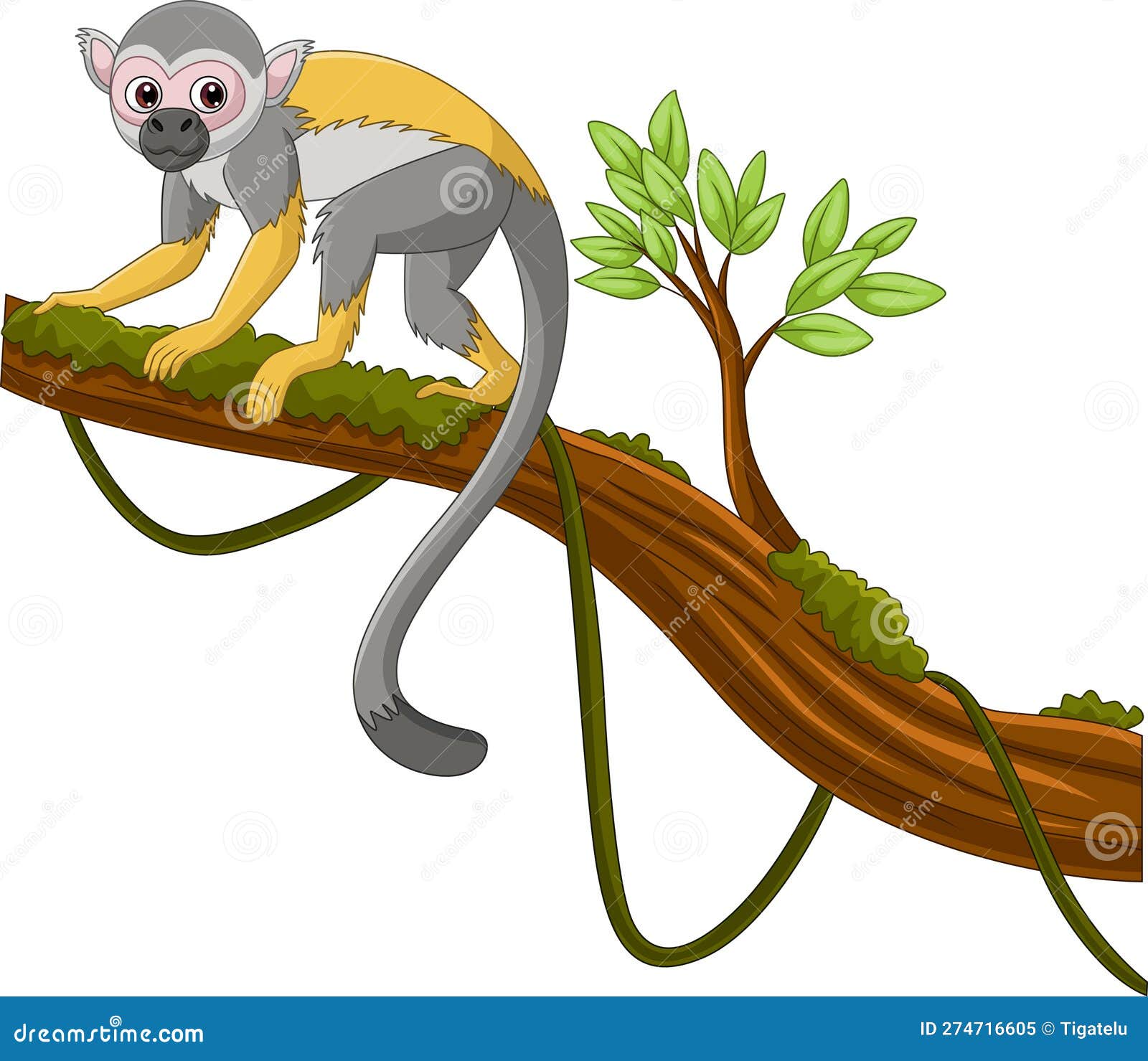 Macaco dos desenhos animados em uma árvore ramo e segurando a