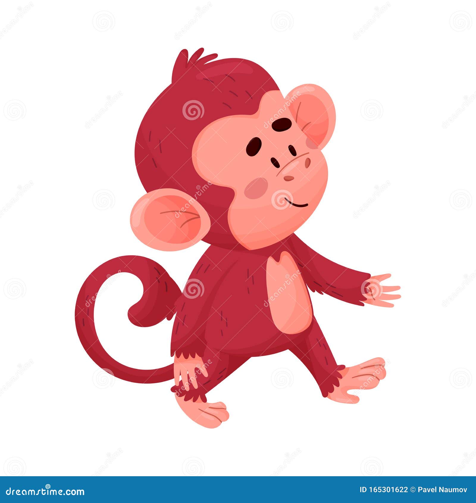Fundo Macaco Vermelho Fotos, Vetores de Fundo de Macaco Vermelho e