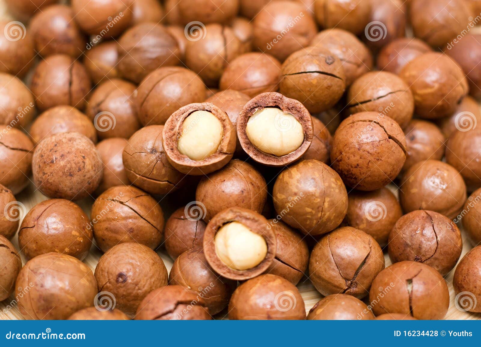 Macadamia nuts stock photo. Image of group, background 16234428